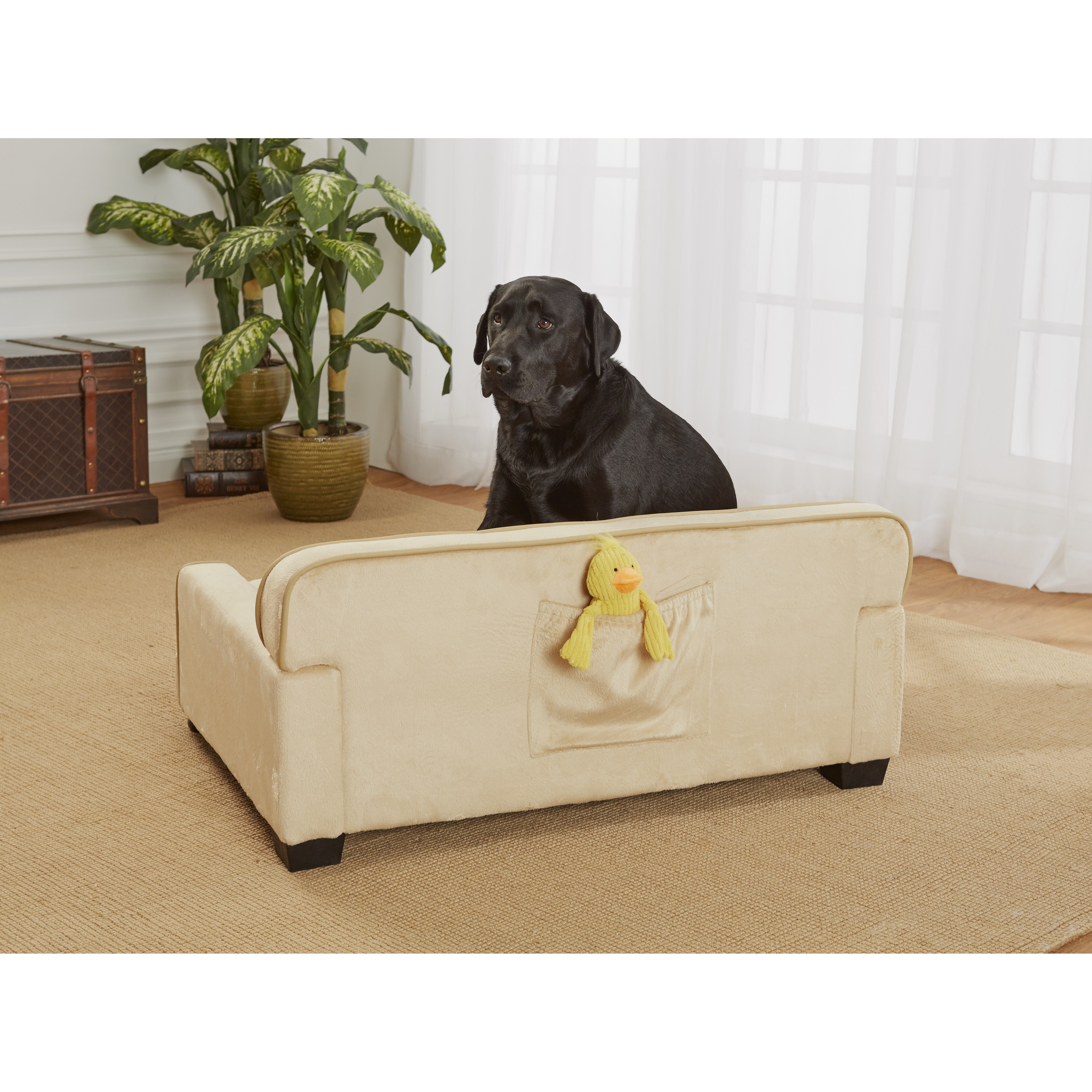 Enchanted Home Pet Library Dog Sofa & Reviews Wayfair