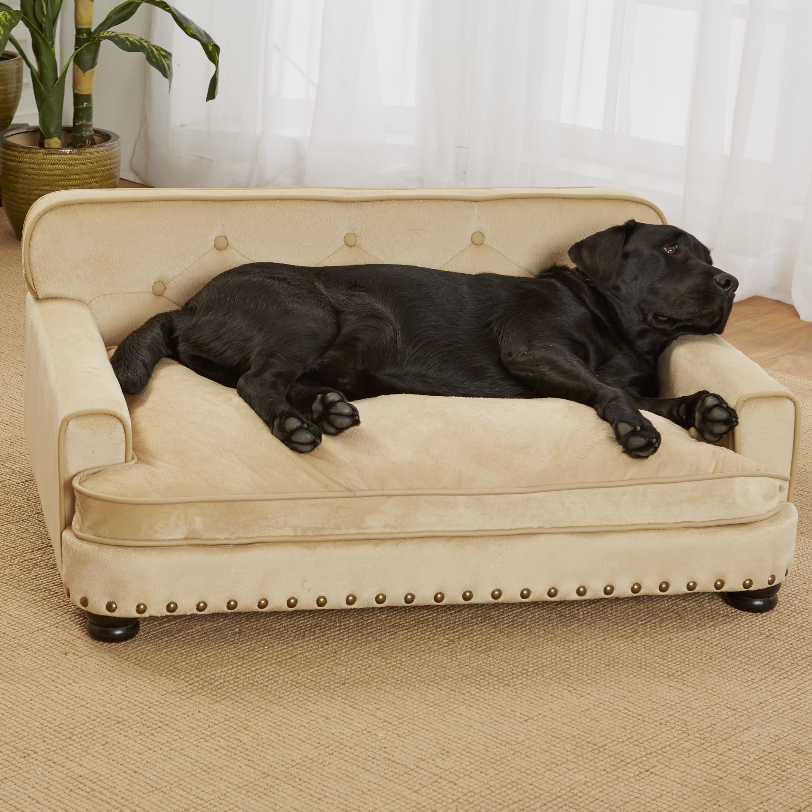 Enchanted Home Pet Library Dog Sofa