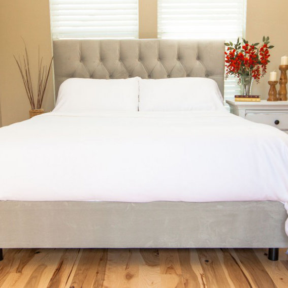 Cozy Earth All Season Comforter Wayfair