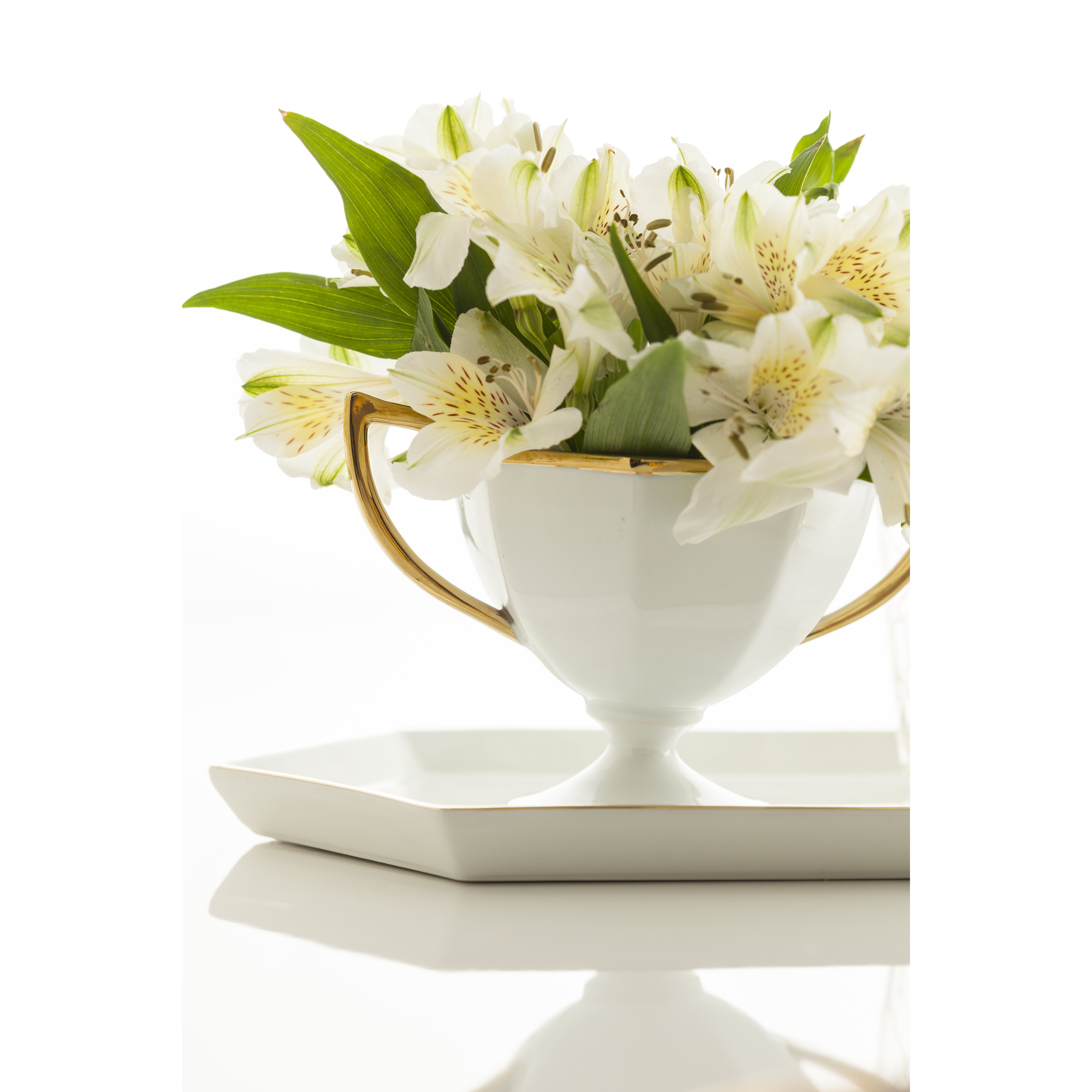 Rosanna Luxe Moderne Trophy Decorative Bowl & Reviews Wayfair