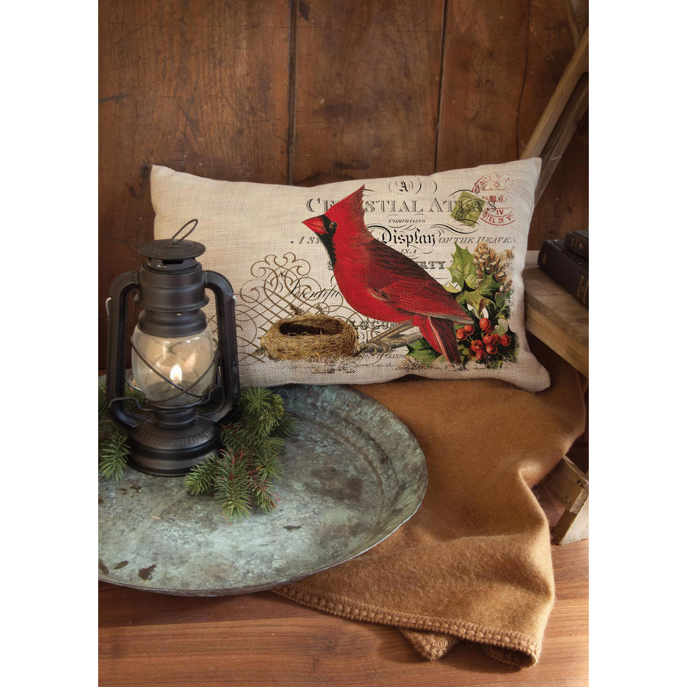 Heritage Lace Winter Garden Cardinal Pillow Cover & Reviews Wayfair