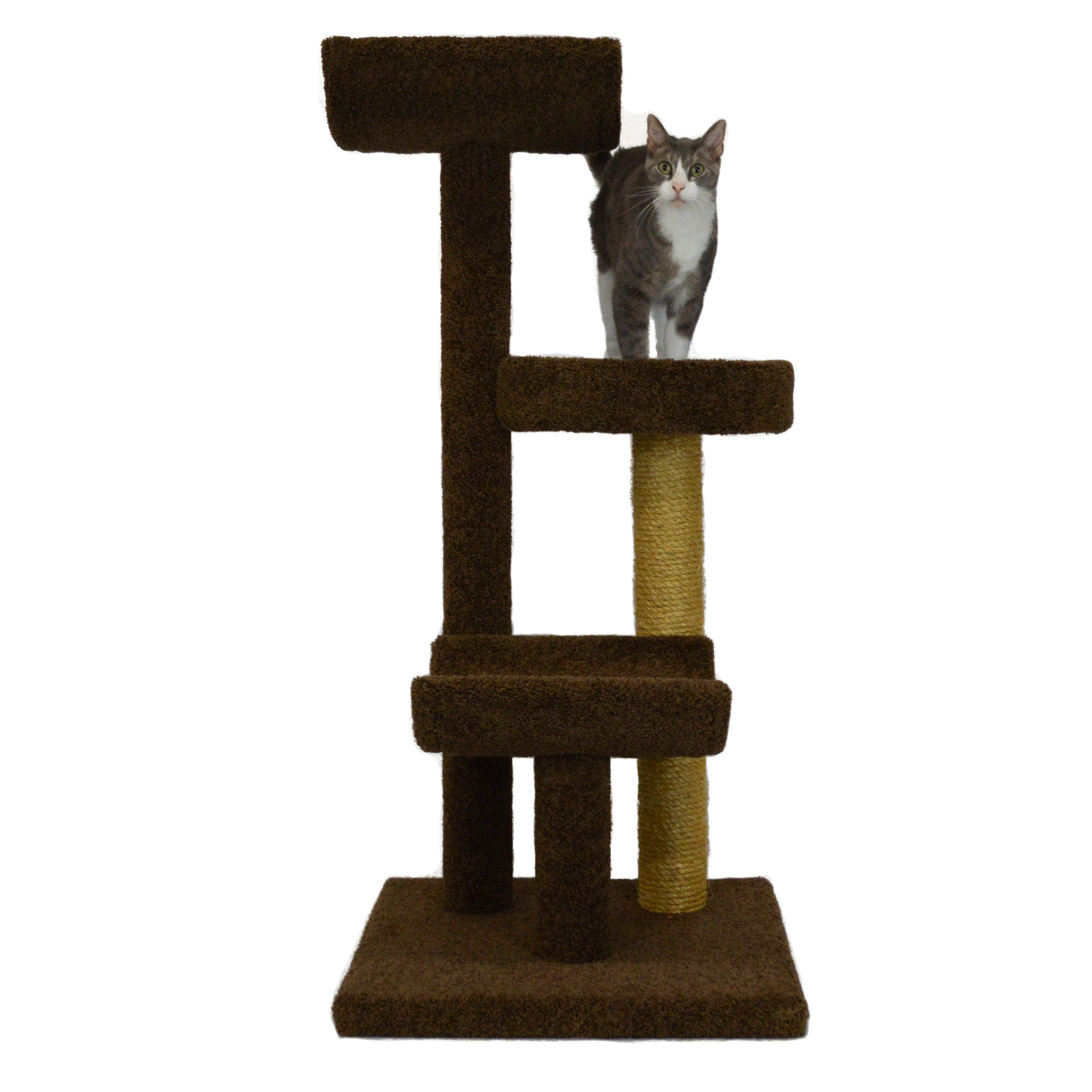 Molly and Friends 54" Bed and Cradle Cat Tree & Reviews Wayfair