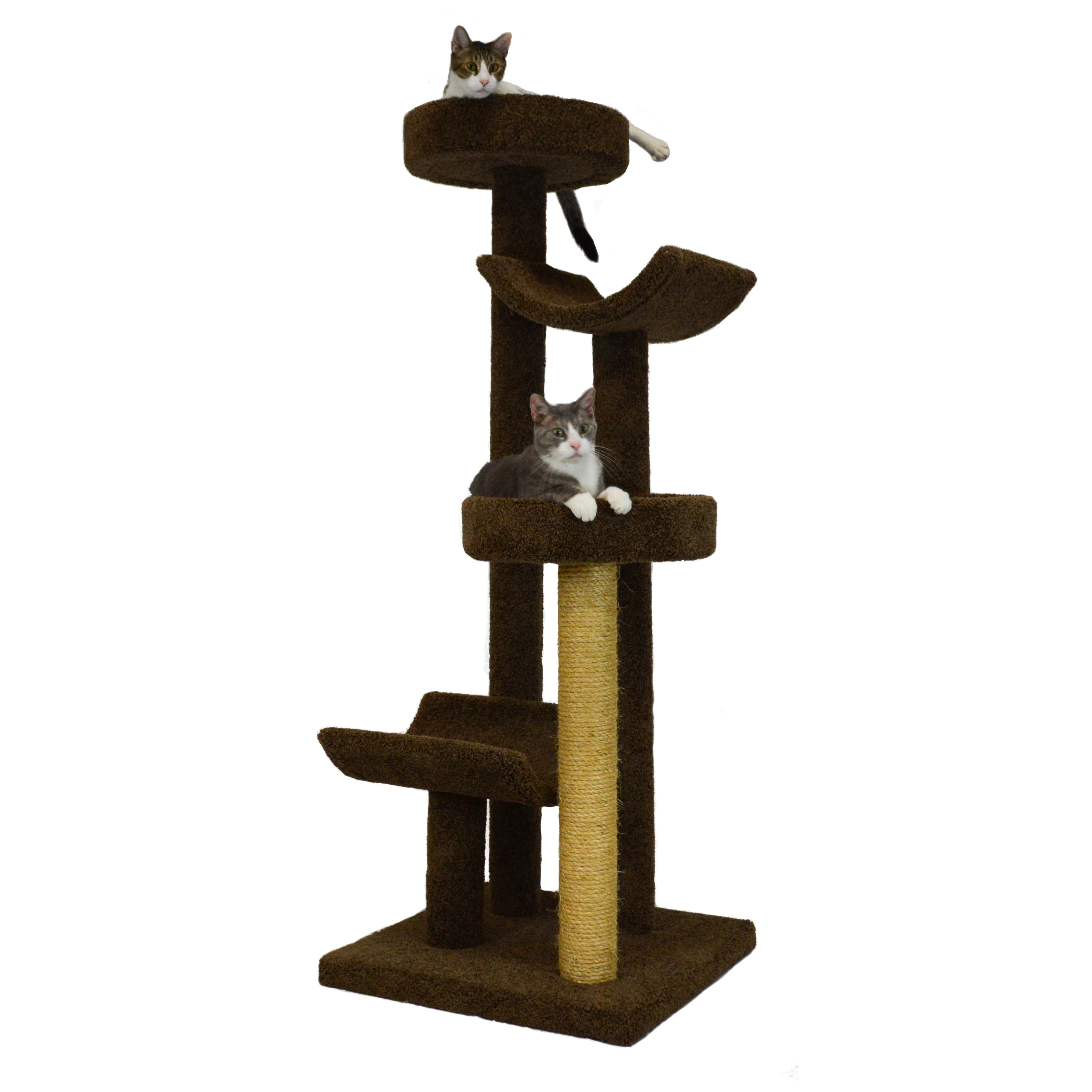 Molly and Friends 66" Bed and Cradle Cat Tree & Reviews Wayfair