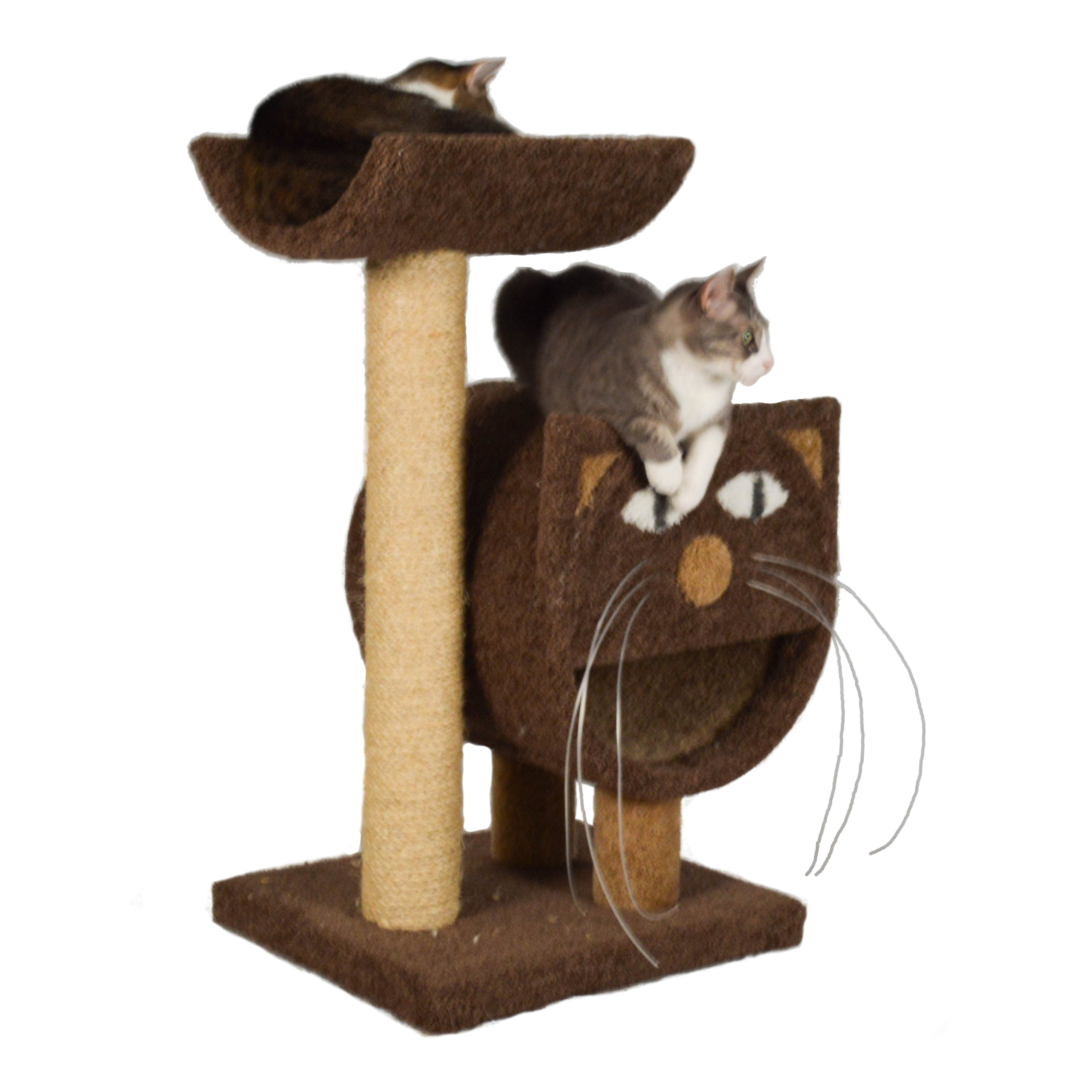 Molly and Friends 37" The 2Tier Cat Condo & Reviews Wayfair