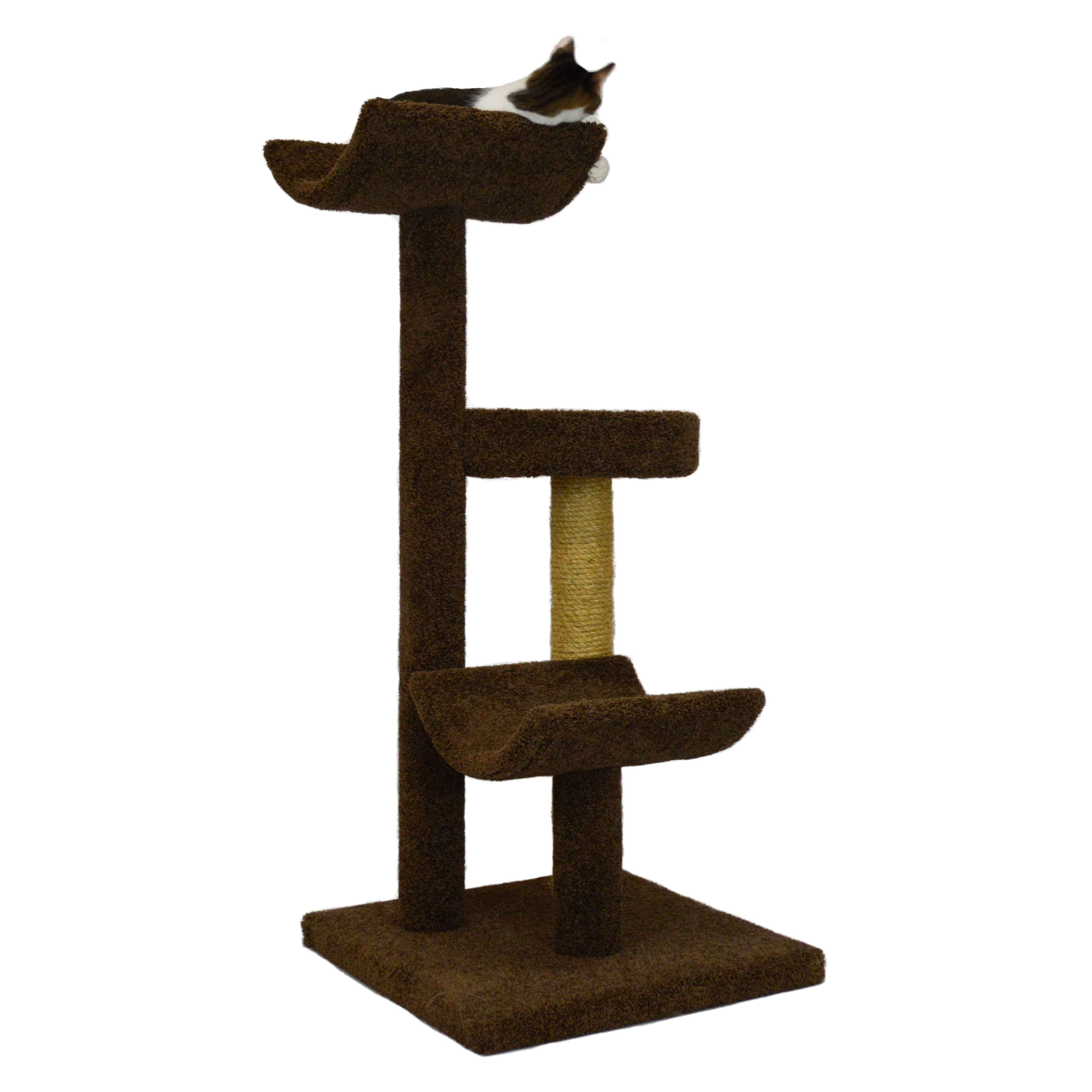 Molly and Friends 54" Bed and Cradle Cat Tree & Reviews Wayfair