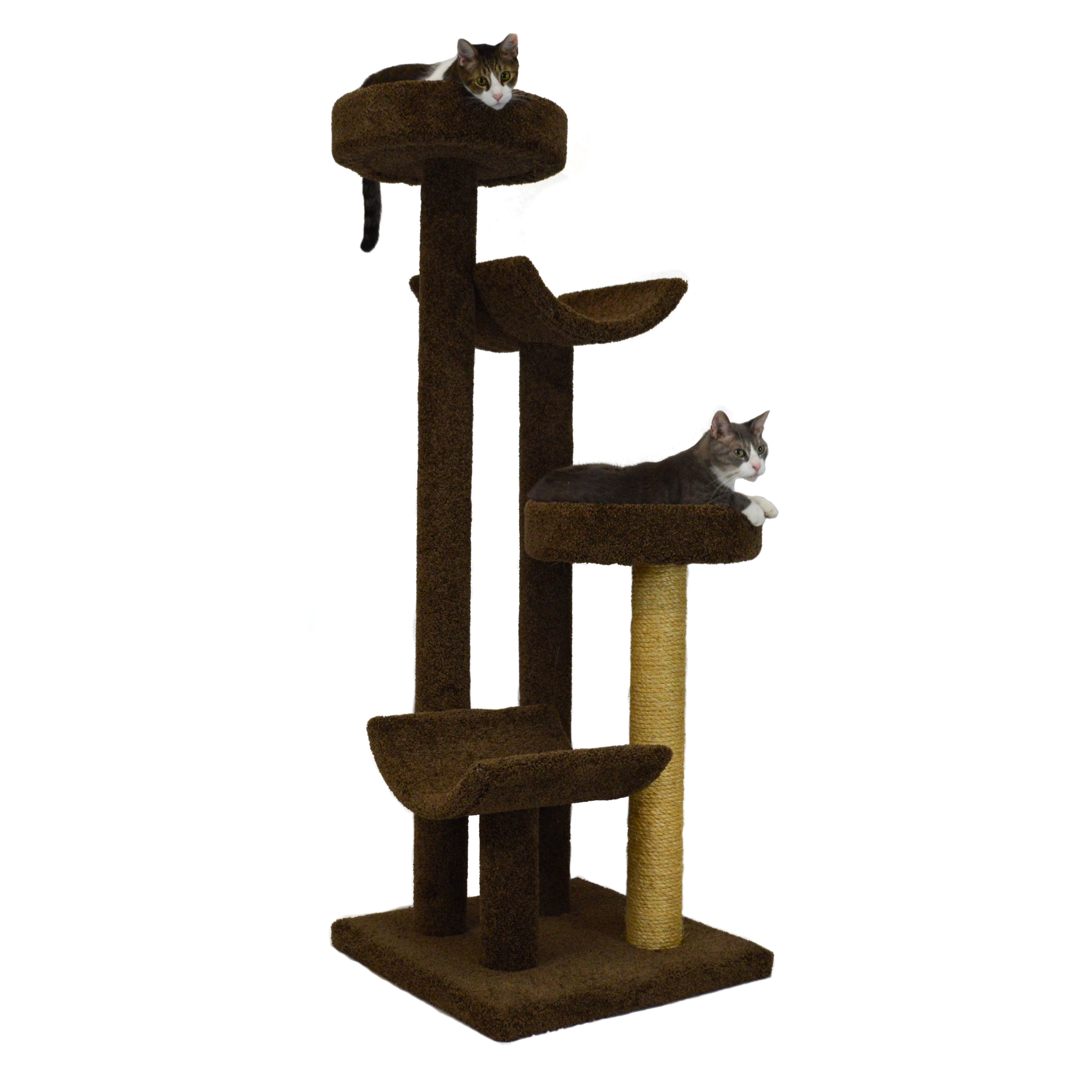 Molly and Friends 66" Bed and Cradle Cat Tree & Reviews Wayfair