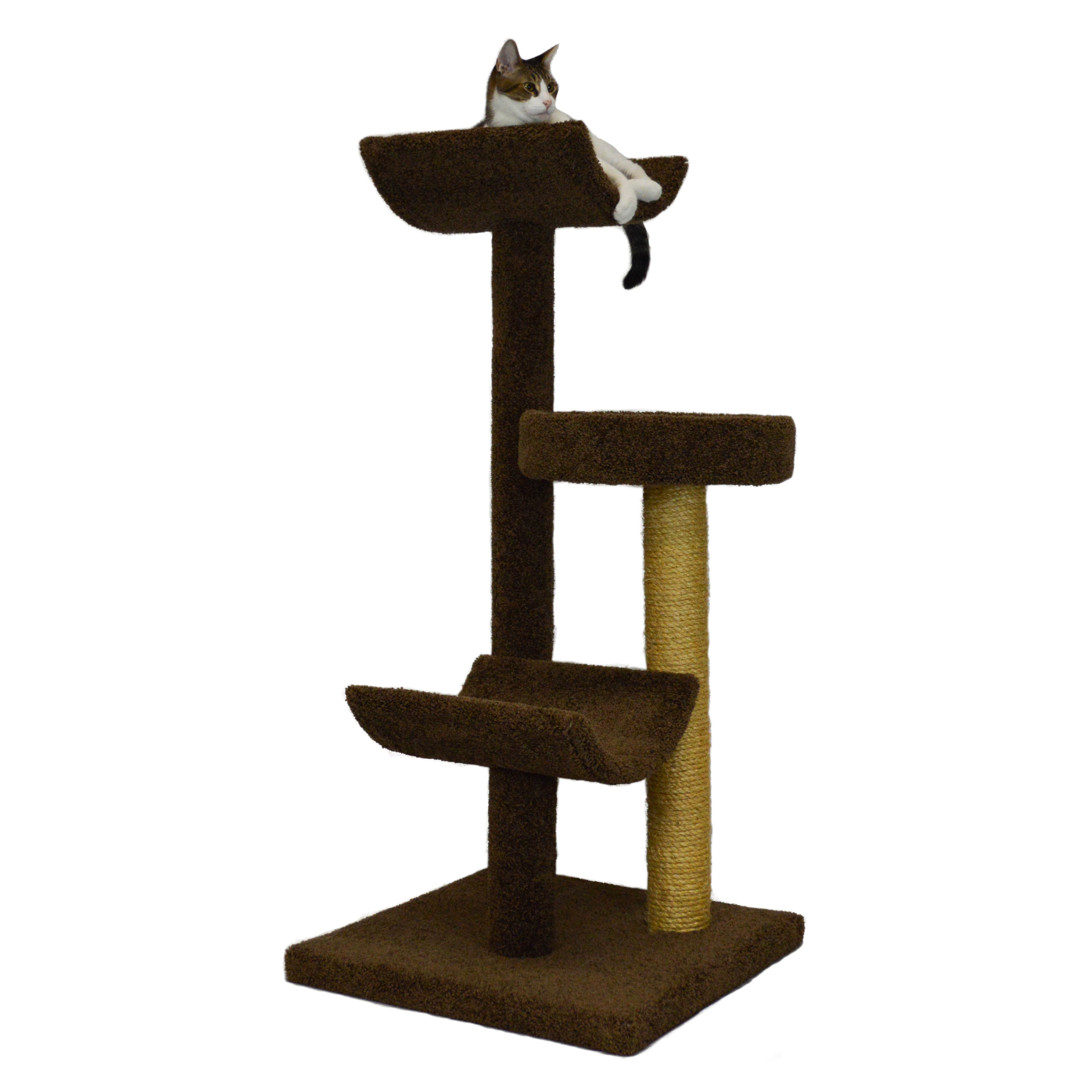 Molly and Friends 54" Bed and Cradle Cat Tree & Reviews Wayfair.ca
