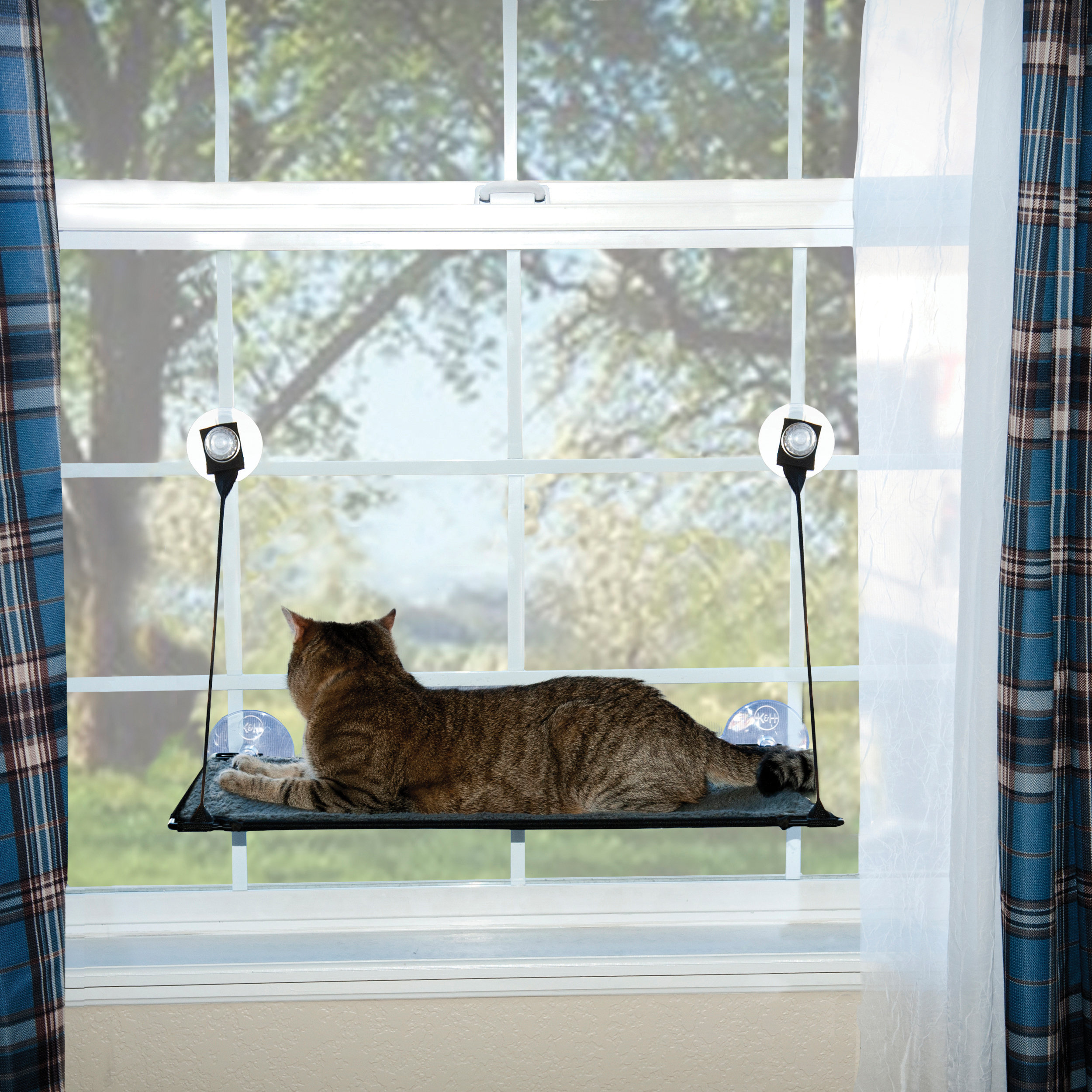 K&H Manufacturing Kitty Sill Ez Window Mount Cat Perch & Reviews Wayfair