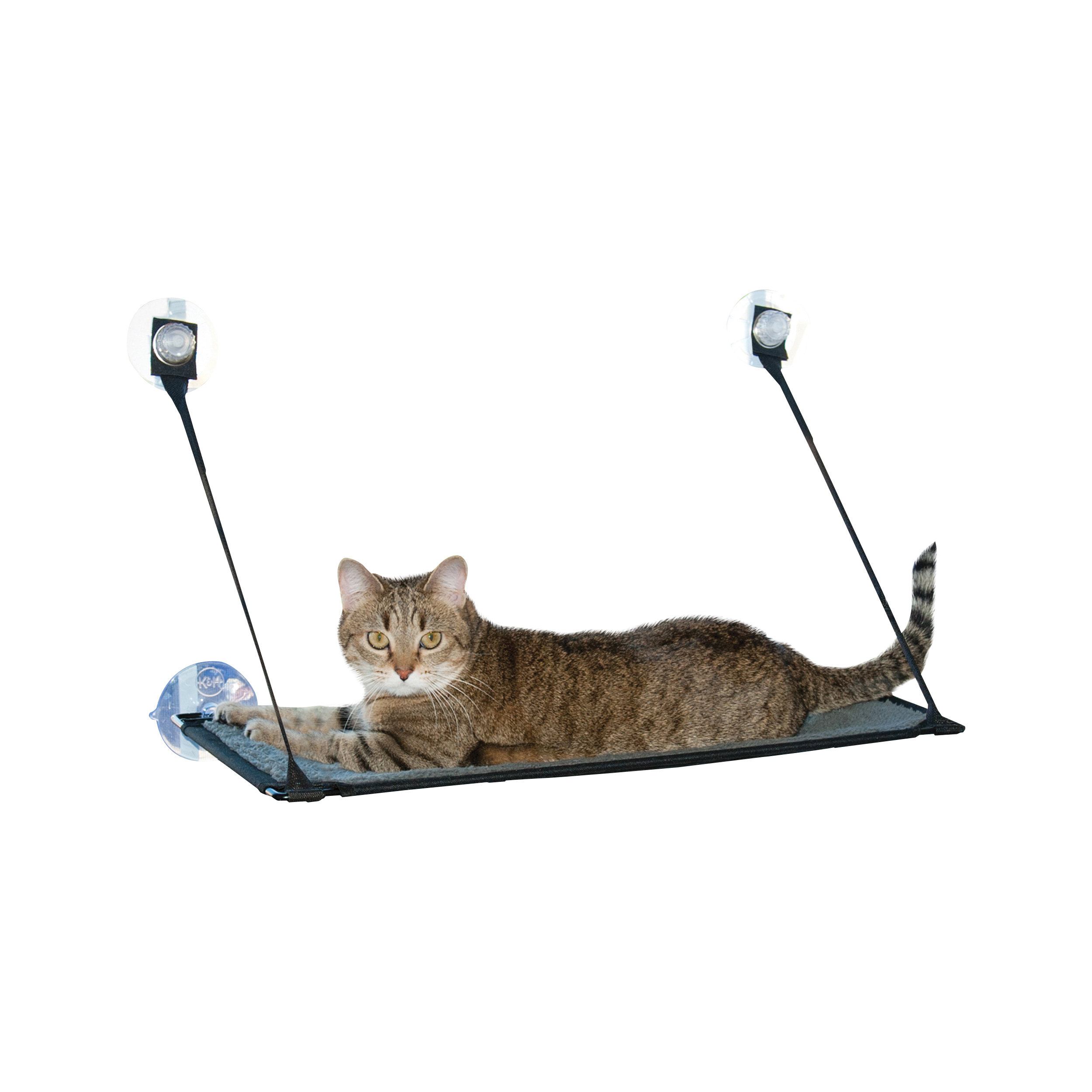 K&H Manufacturing Kitty Sill Ez Window Mount Cat Perch & Reviews Wayfair