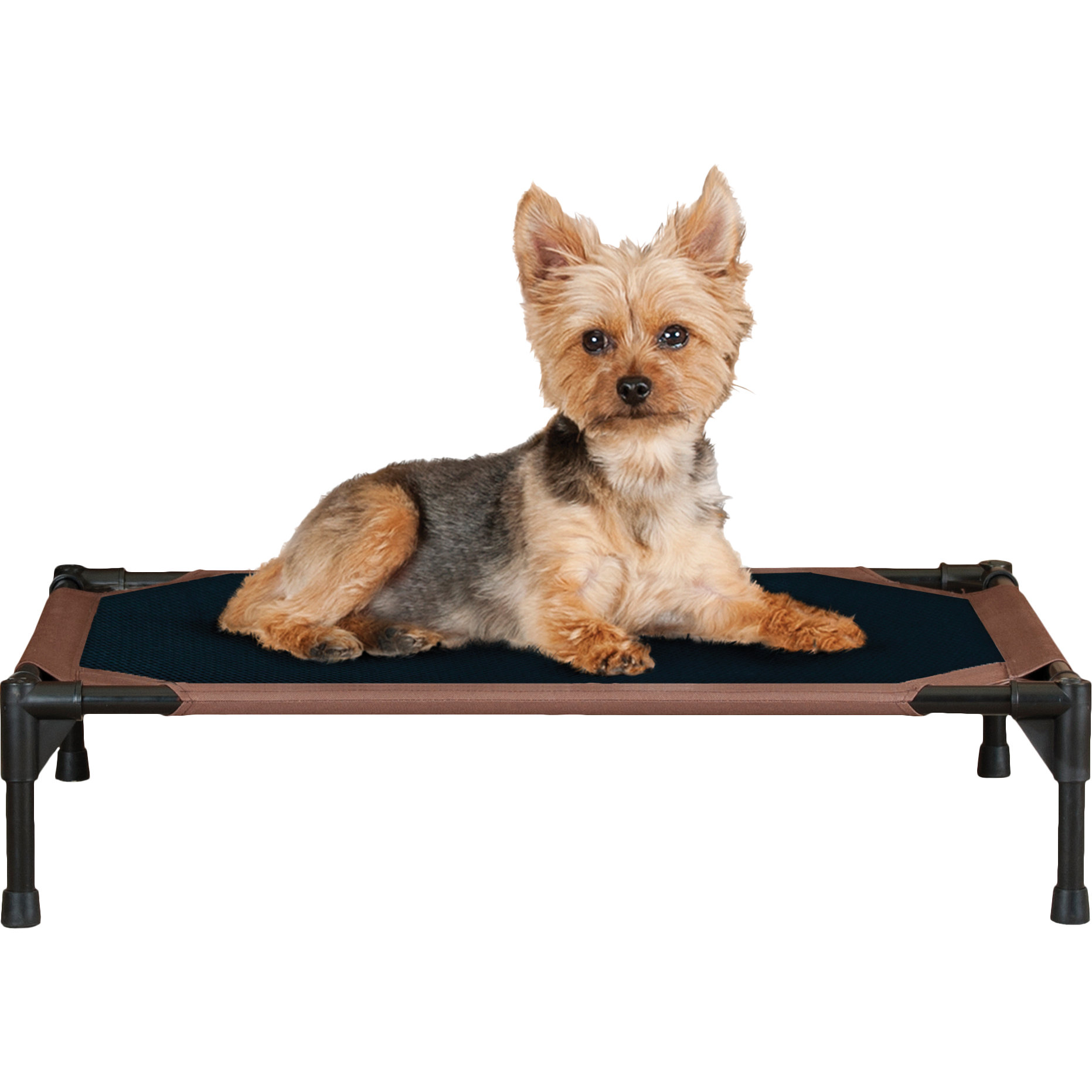 K&H Manufacturing Original Cot Small Dog Bed & Reviews Wayfair