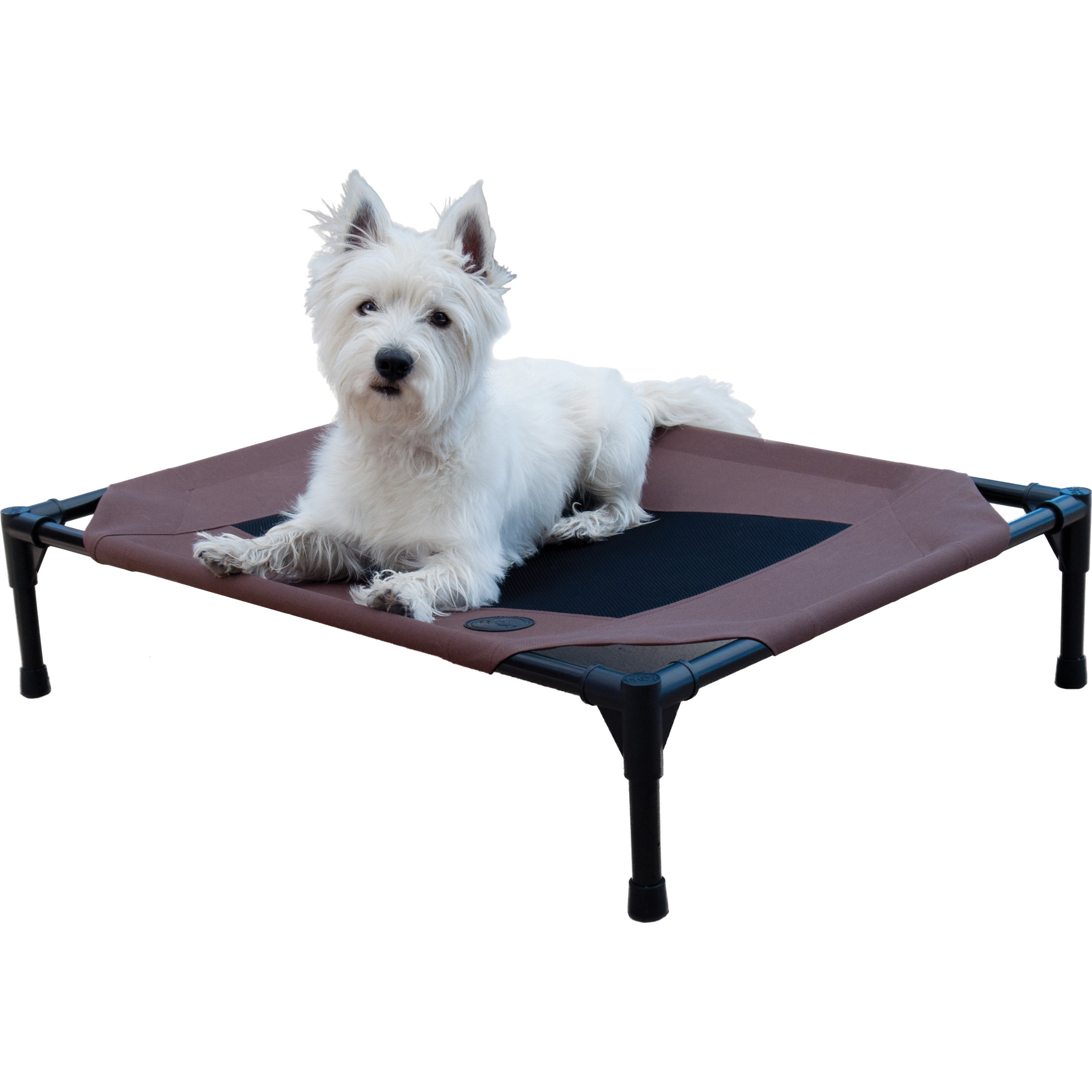 K&H Manufacturing Elevated Dog Cot & Reviews Wayfair
