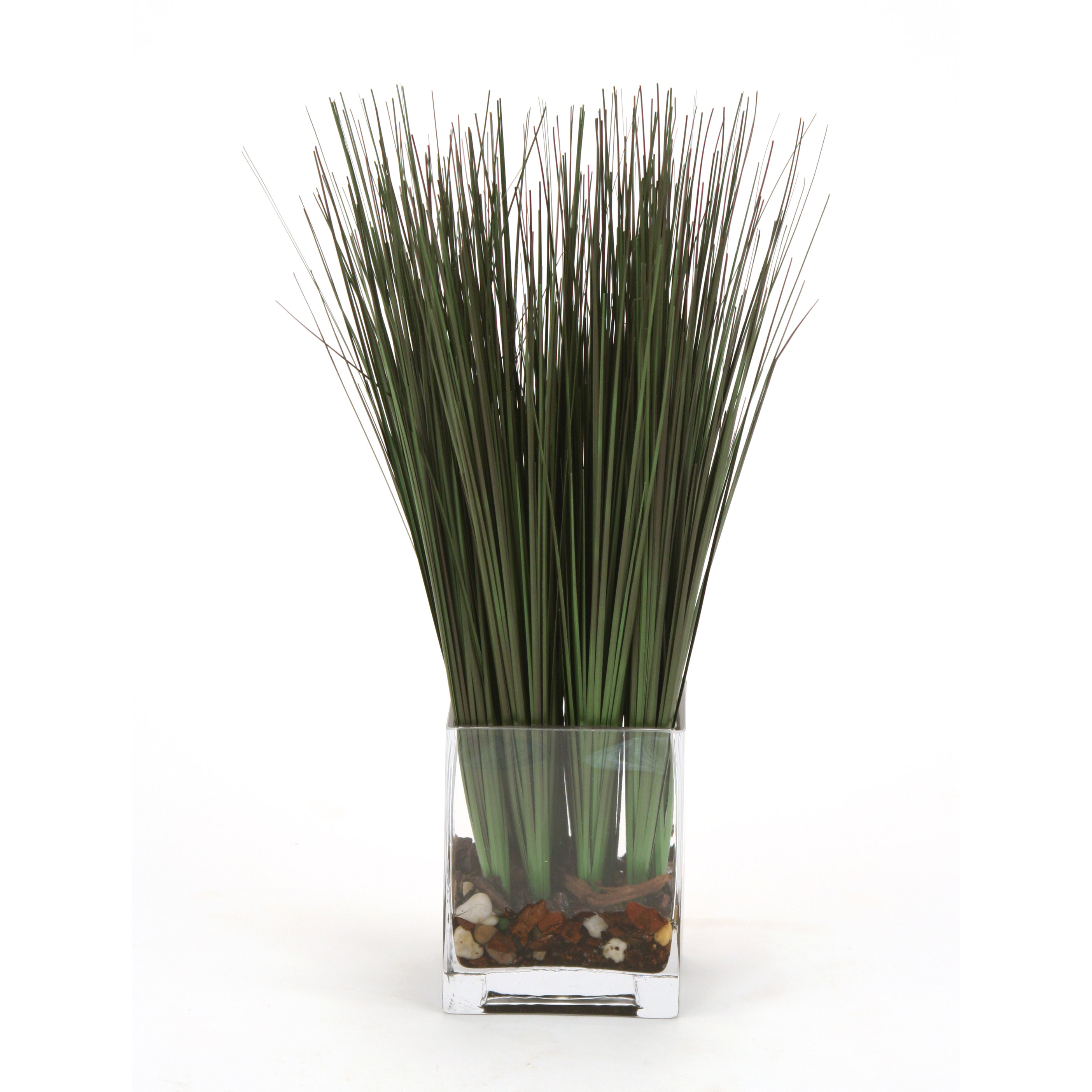 Distinctive Designs Waterlook Grass in Rectangular Glass Decorative