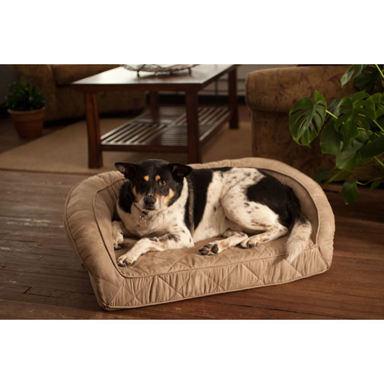 Buddy Beds Memory Foam Bolster Dog Bed Wayfair