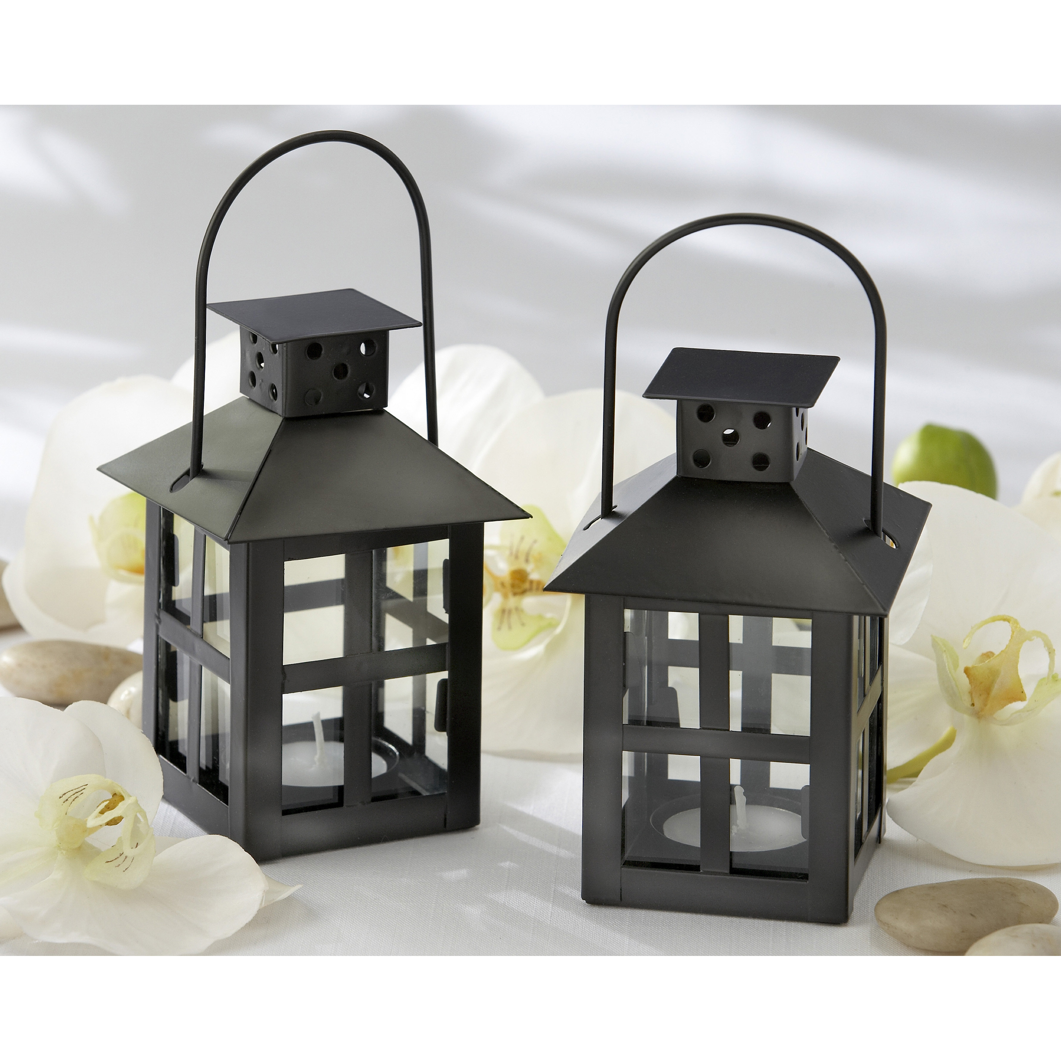 Kate Aspen Luminous MiniLantern Tea Light Holder & Reviews Wayfair