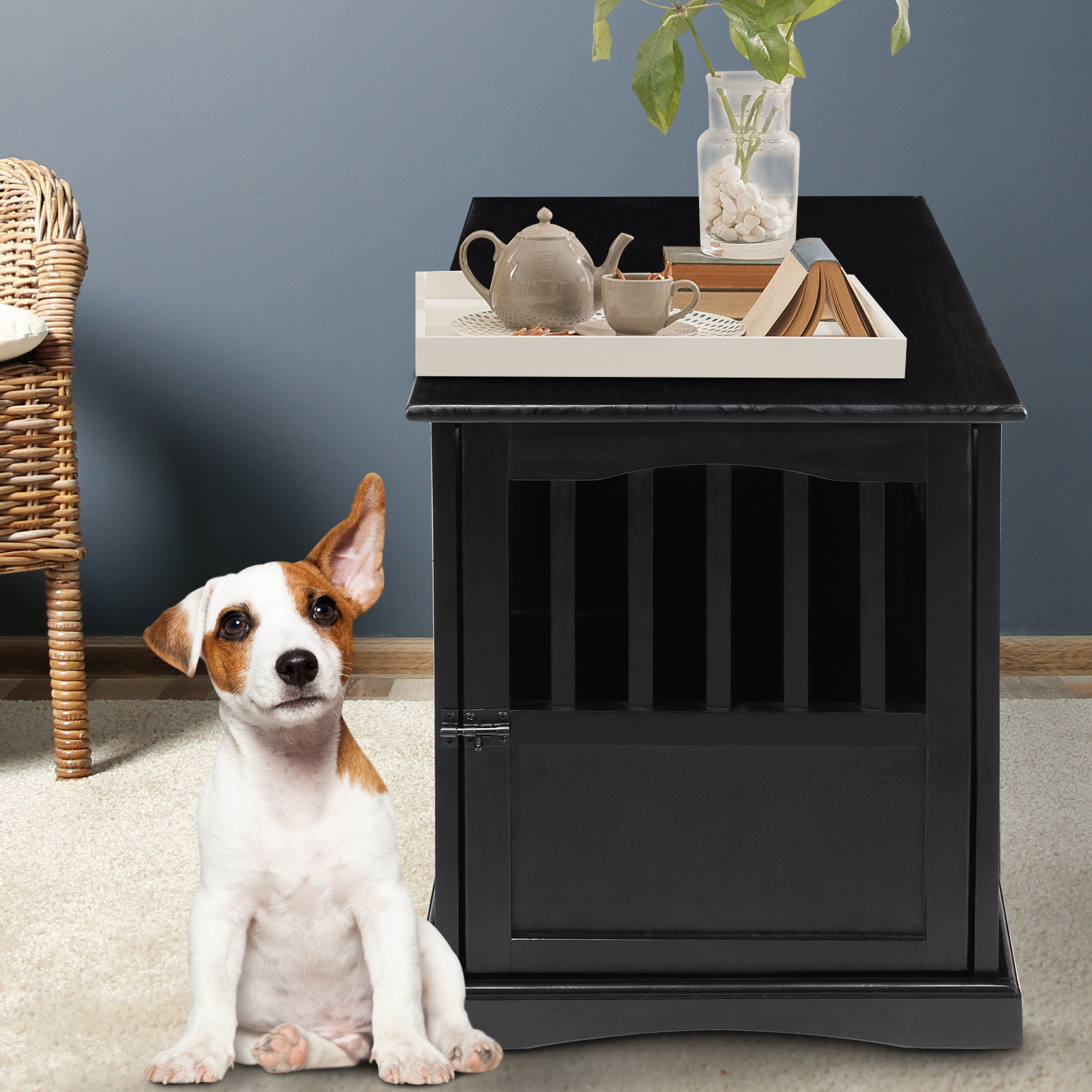 Casual Home Pet Crate End Table & Reviews Wayfair