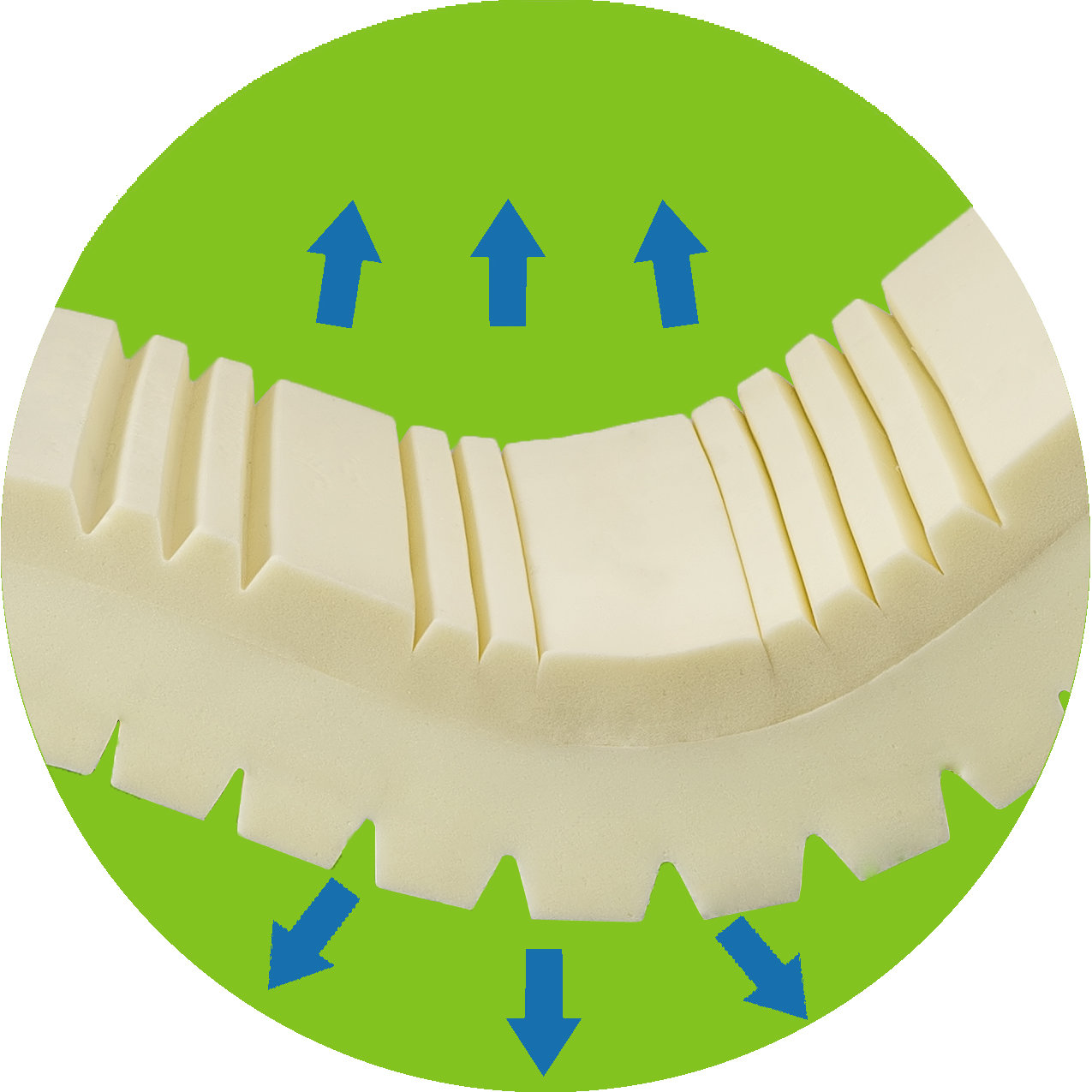 Pragma Bed '6" Memory Foam Mattress & Reviews Wayfair