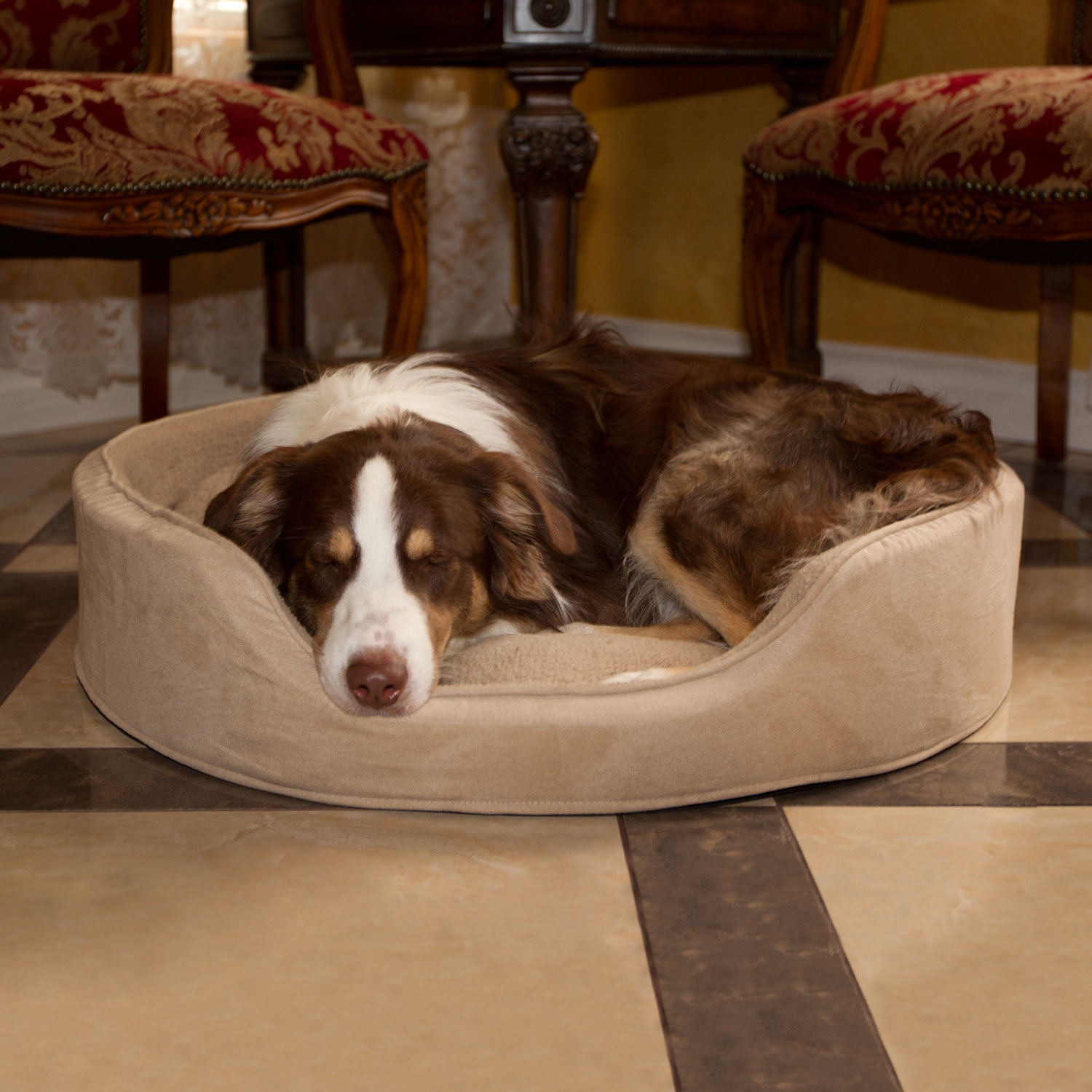 PAW Cuddle Round Suede Terry Nest Dog Bed & Reviews Wayfair