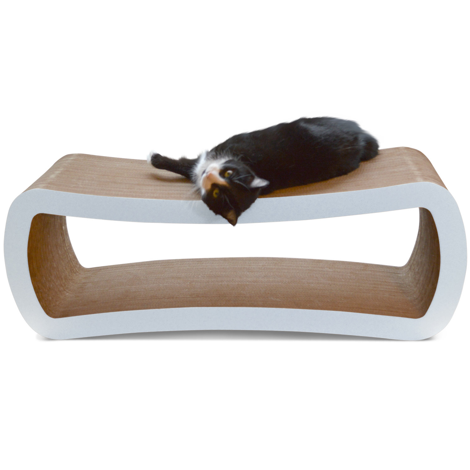 PetFusion Jumbo Cat Scratcher Lounge & Bed & Reviews Wayfair