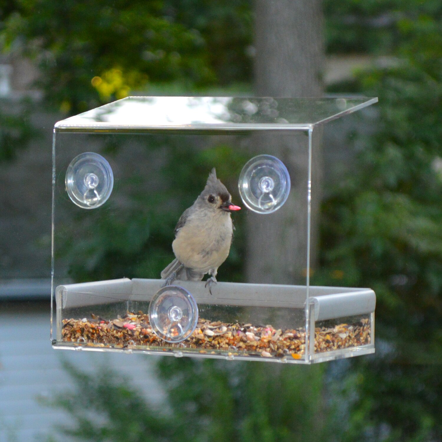 wayfair window bird feeder
