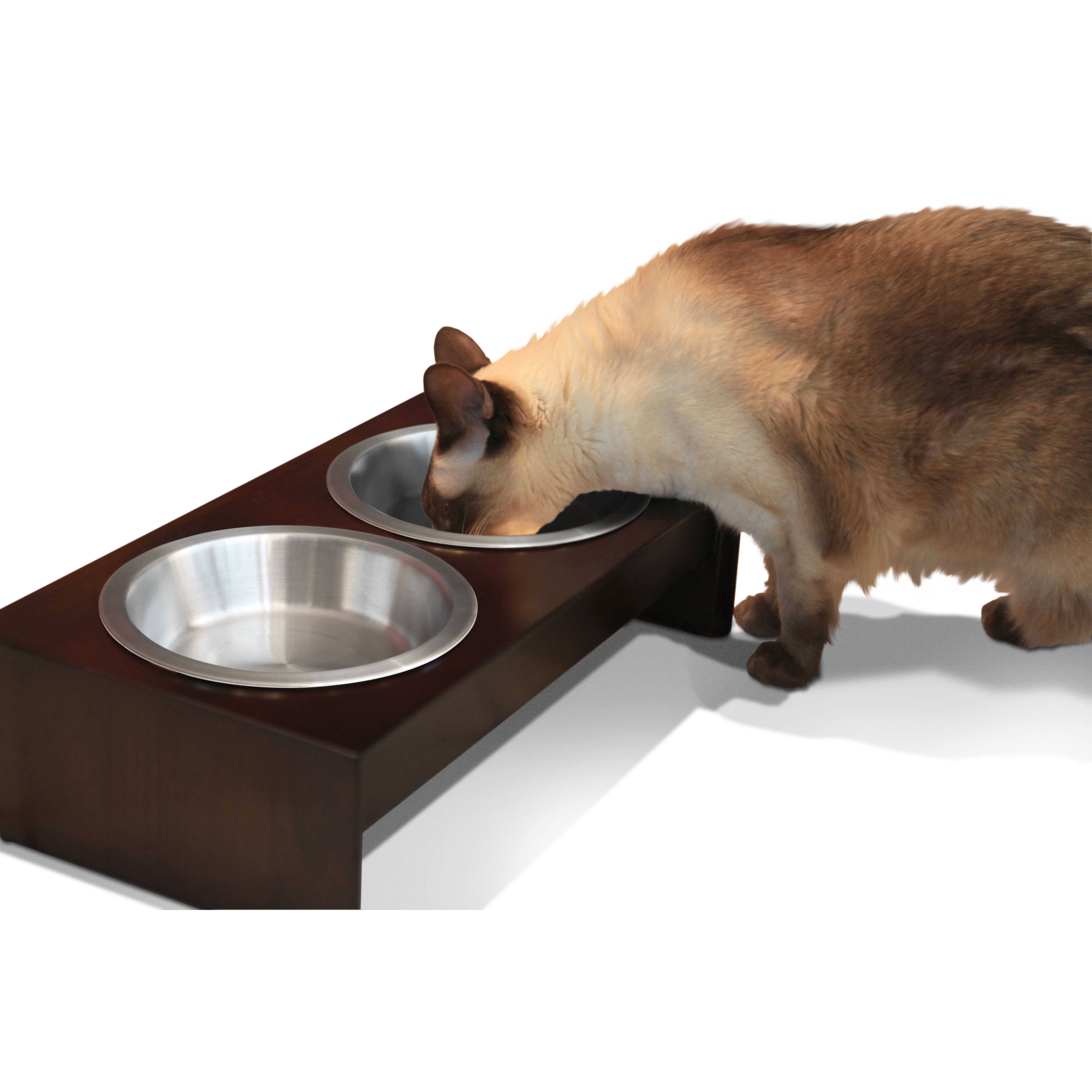 our pets elevated dog feeder