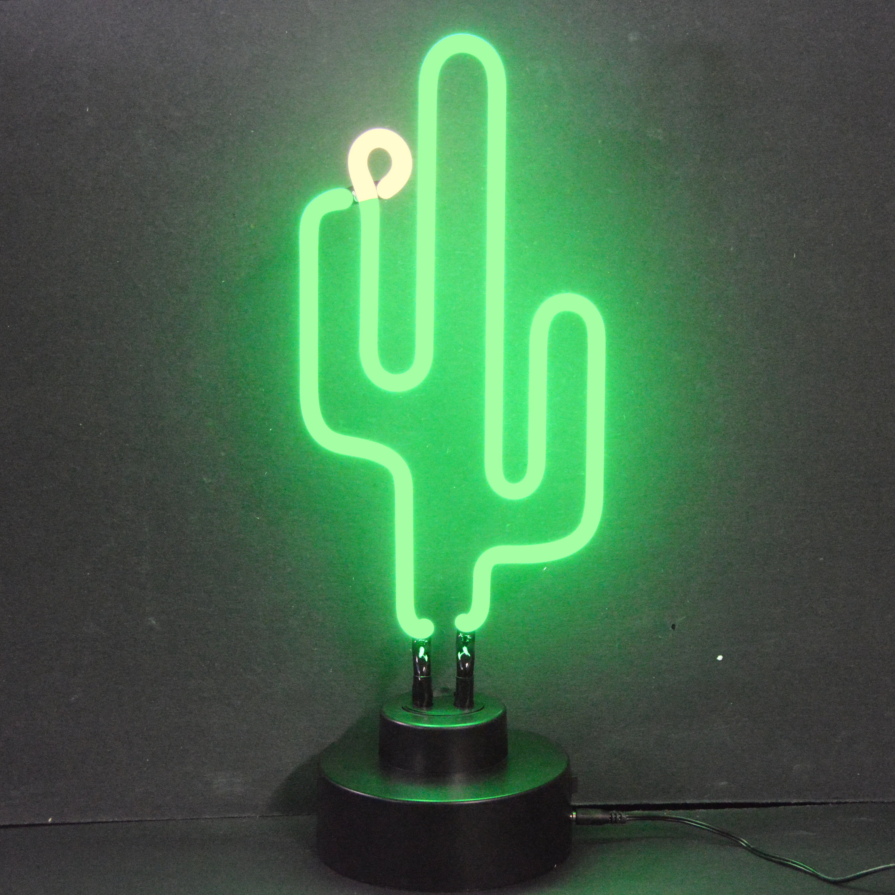 neon cactus signs sign business neonetics wayfair next