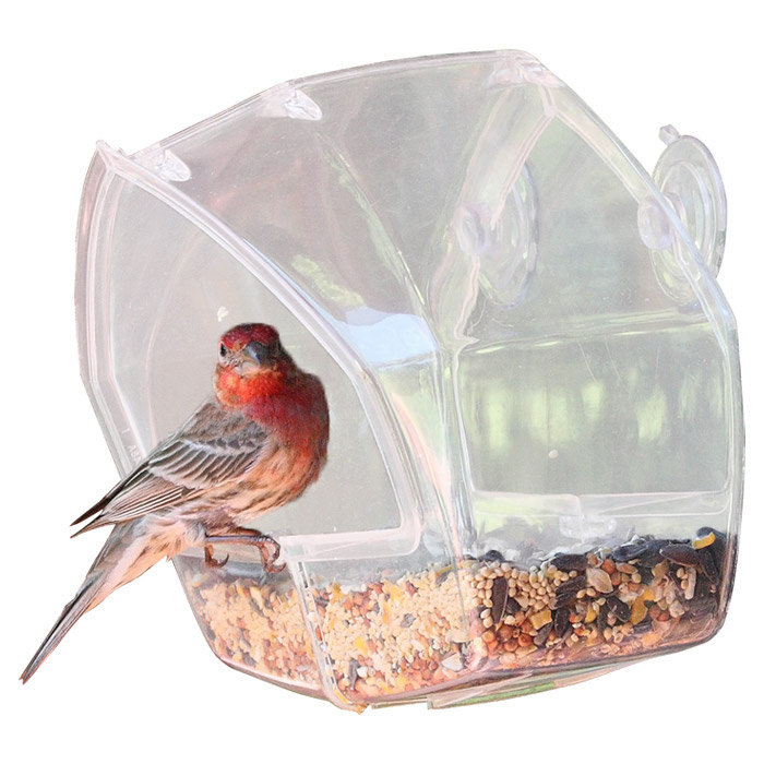 Birdscapes Window Bird Feeder & Reviews Wayfair