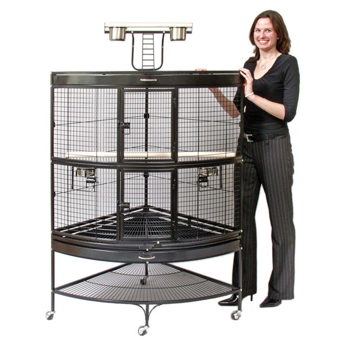 Prevue Hendryx Large Bird Cage with Storage Shelf & Reviews Wayfair.ca
