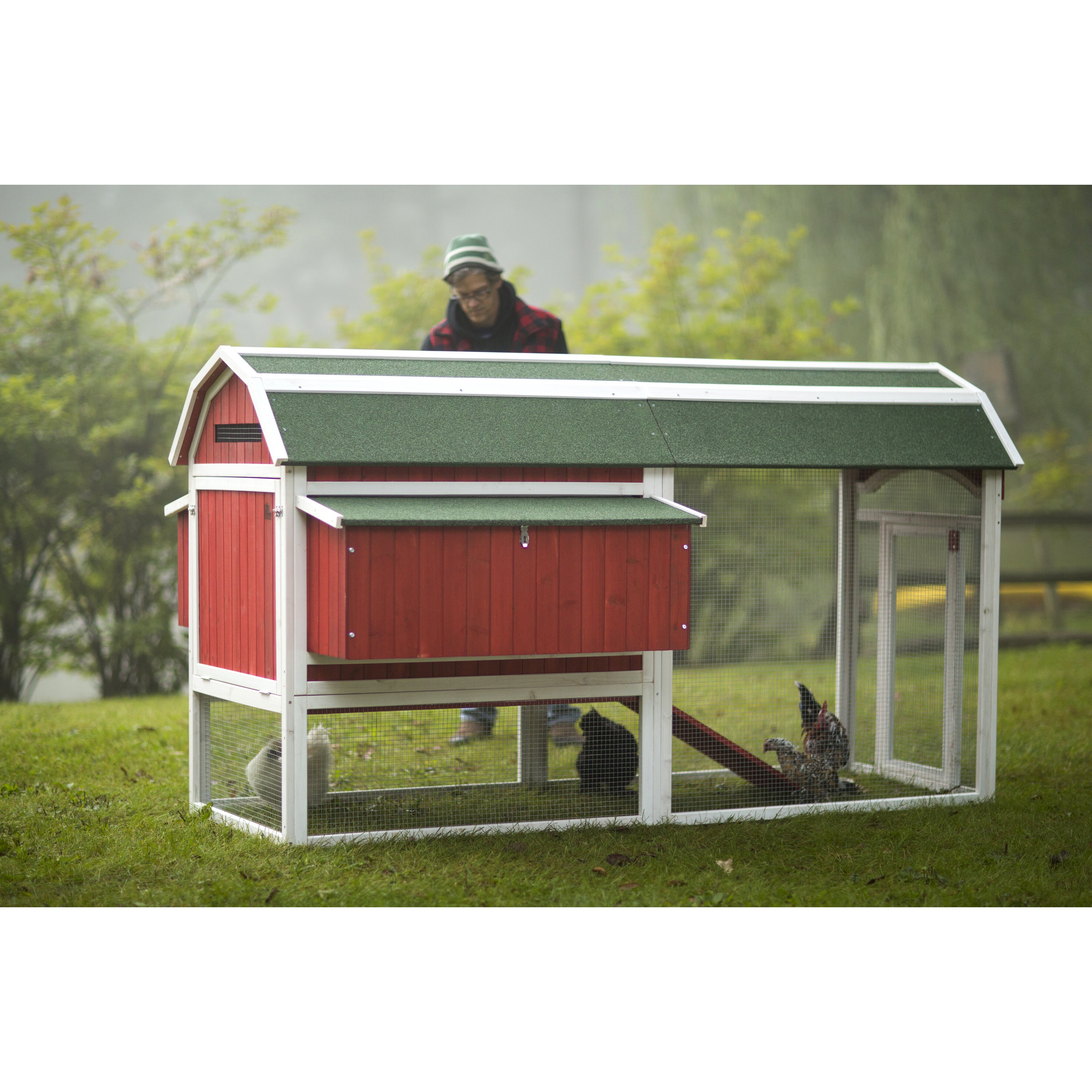 Prevue Hendryx Red Barn Large Chicken Coop &amp; Reviews Wayfair