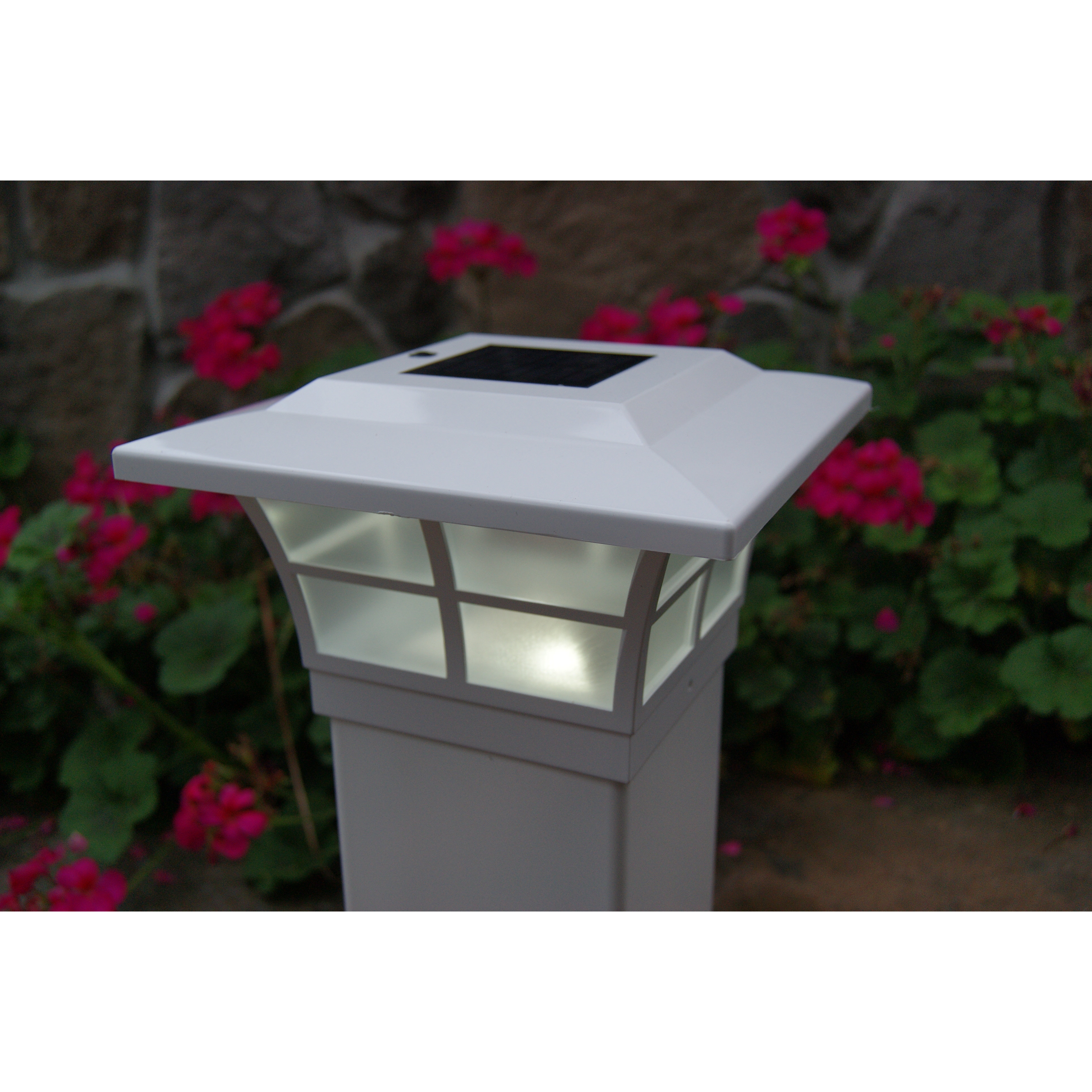Classy Caps Solar 2 Light LED Fence Post Cap & Reviews Wayfair