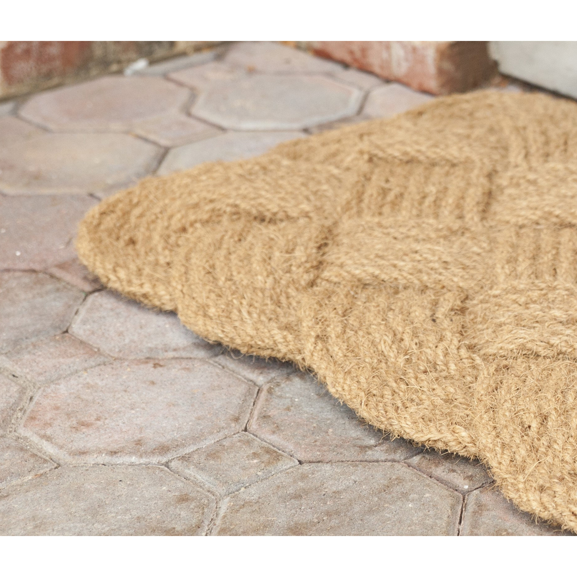 Entryways Knot Ical Doormat & Reviews Wayfair
