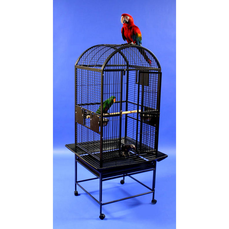 A&E Cage Co. Medium Dome Top Bird Cage & Reviews Wayfair