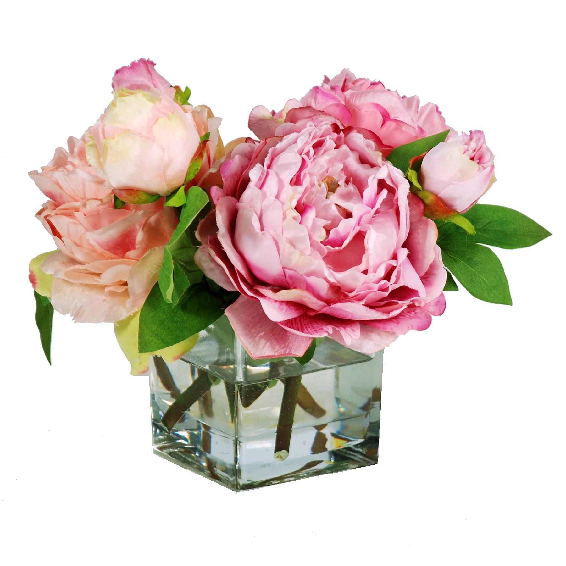 Jane Seymour Botanicals Peonies In Square Glass Vase Wayfair