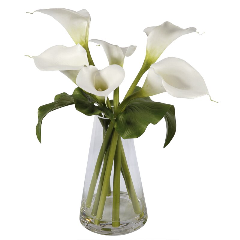 Jane Seymour Botanicals Calla Lilies in Glass Vase & Reviews | Wayfair