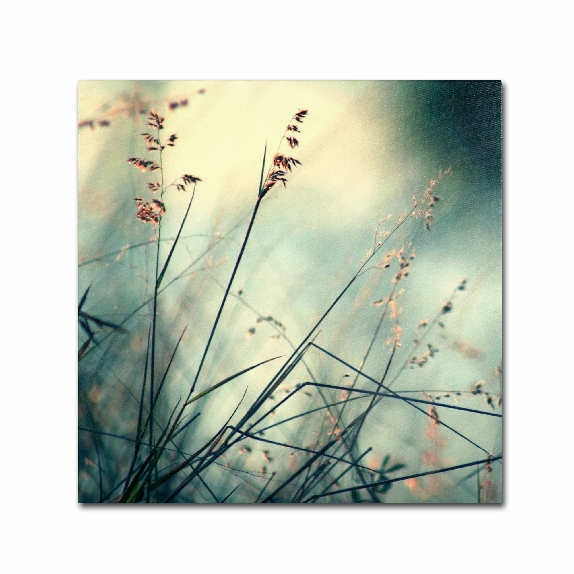 Trademark Art 'About Hope' by Beata Czyzowska Young Photographic Print ...