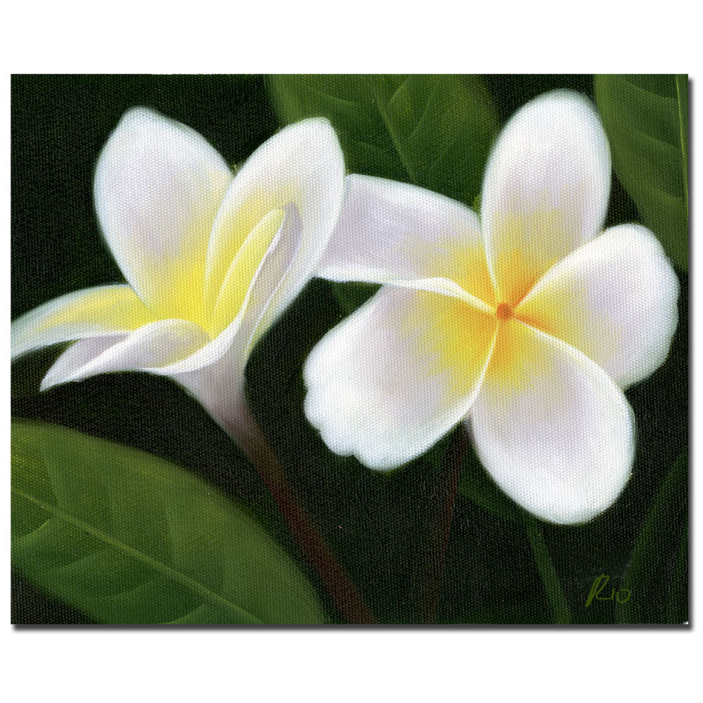 trademark art hawaiian lei flowers by rio framed