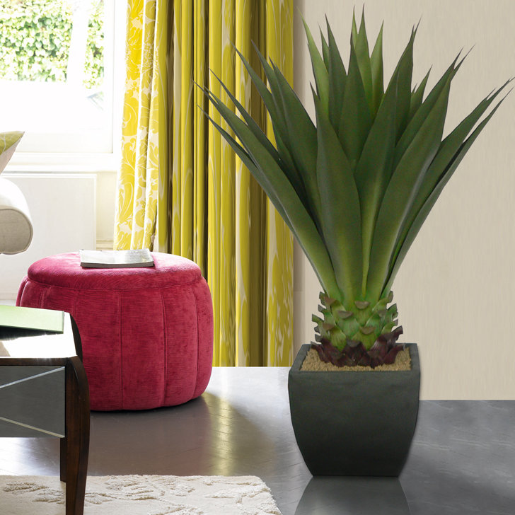 Laura Ashley Home Realistic Giant Aloe Floor Plant in Pot & Reviews Wayfair