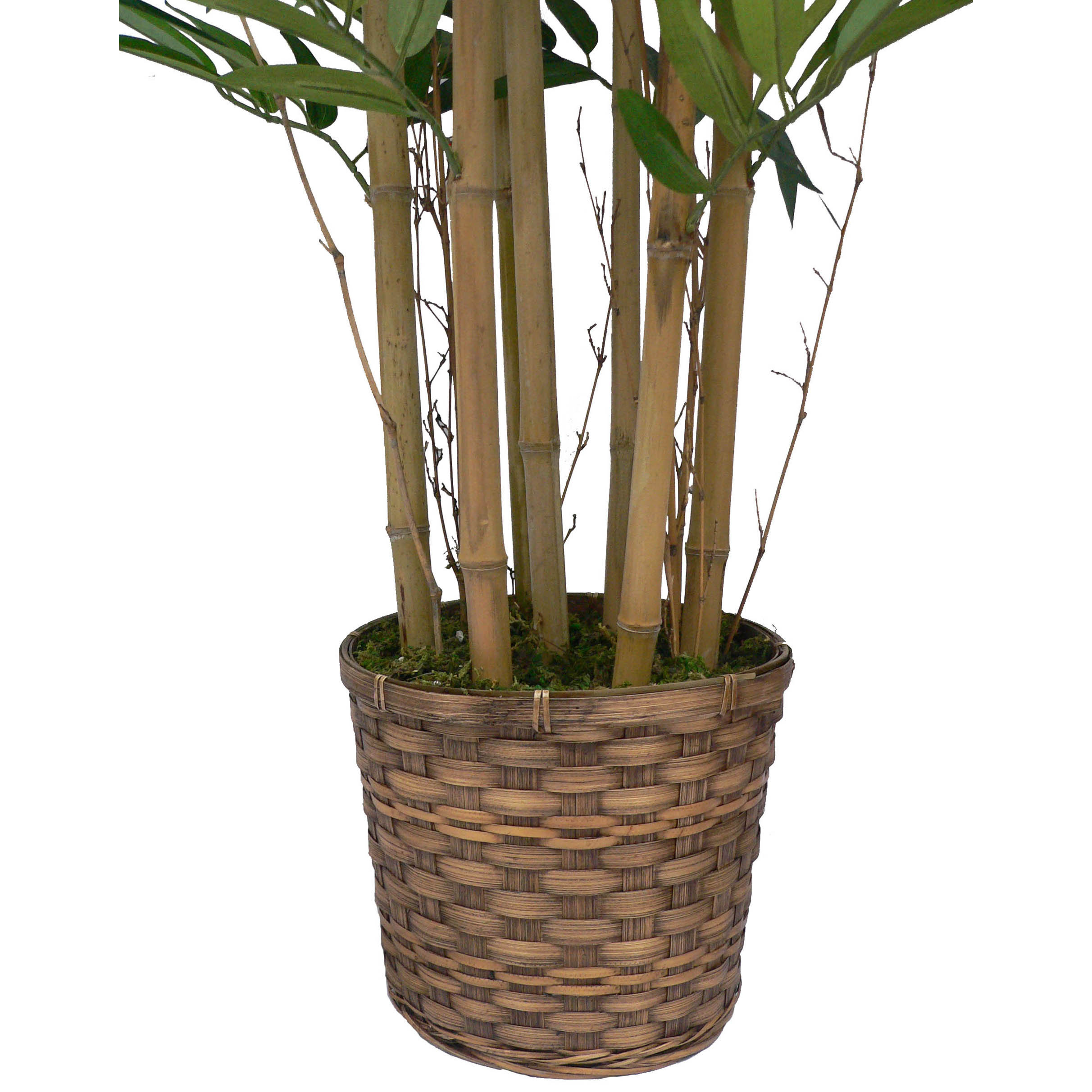Laura Ashley Home Tall High End Realistic Silk Bamboo Tree in Basket
