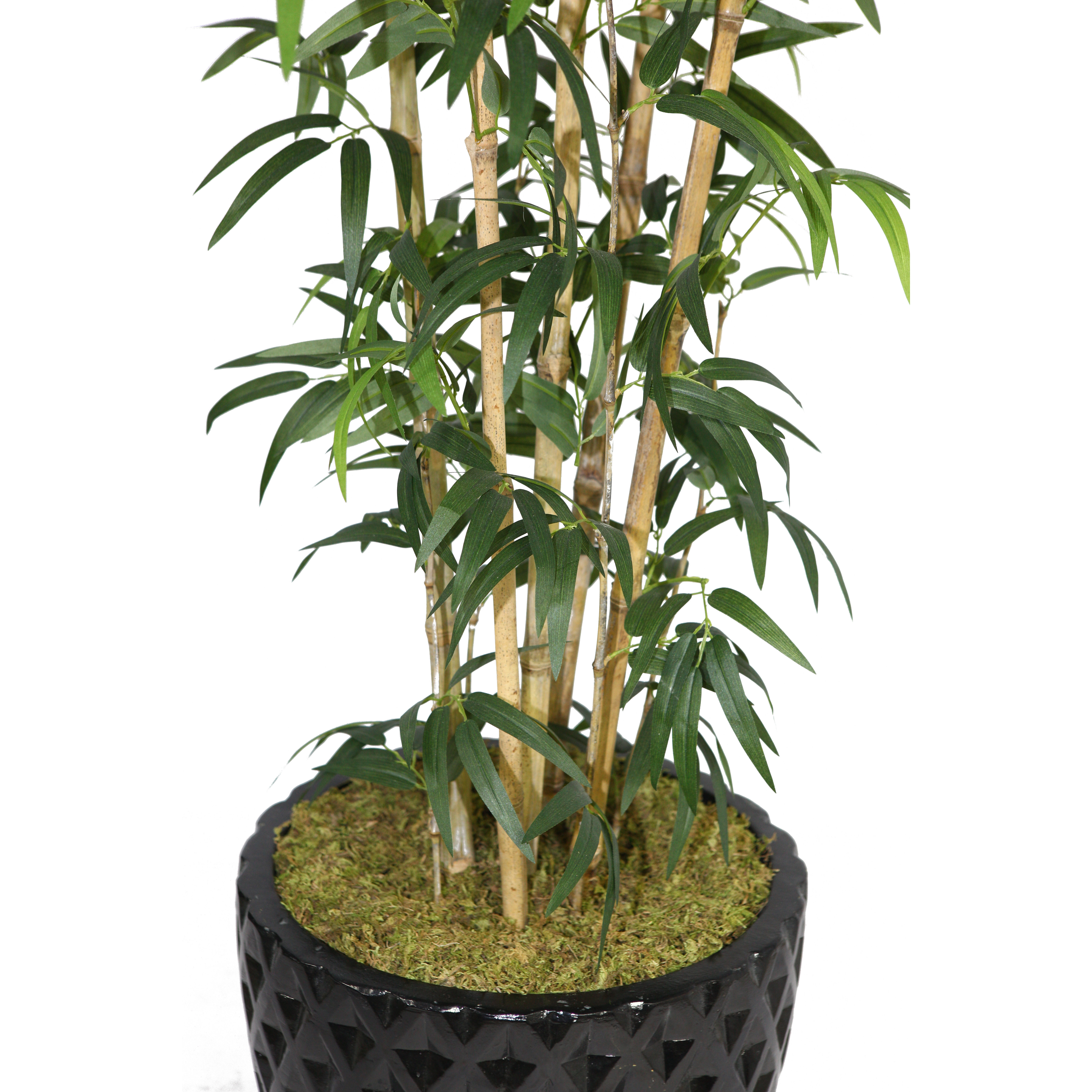 Laura Ashley Home Tall Bamboo Tree in Pot & Reviews Wayfair.ca