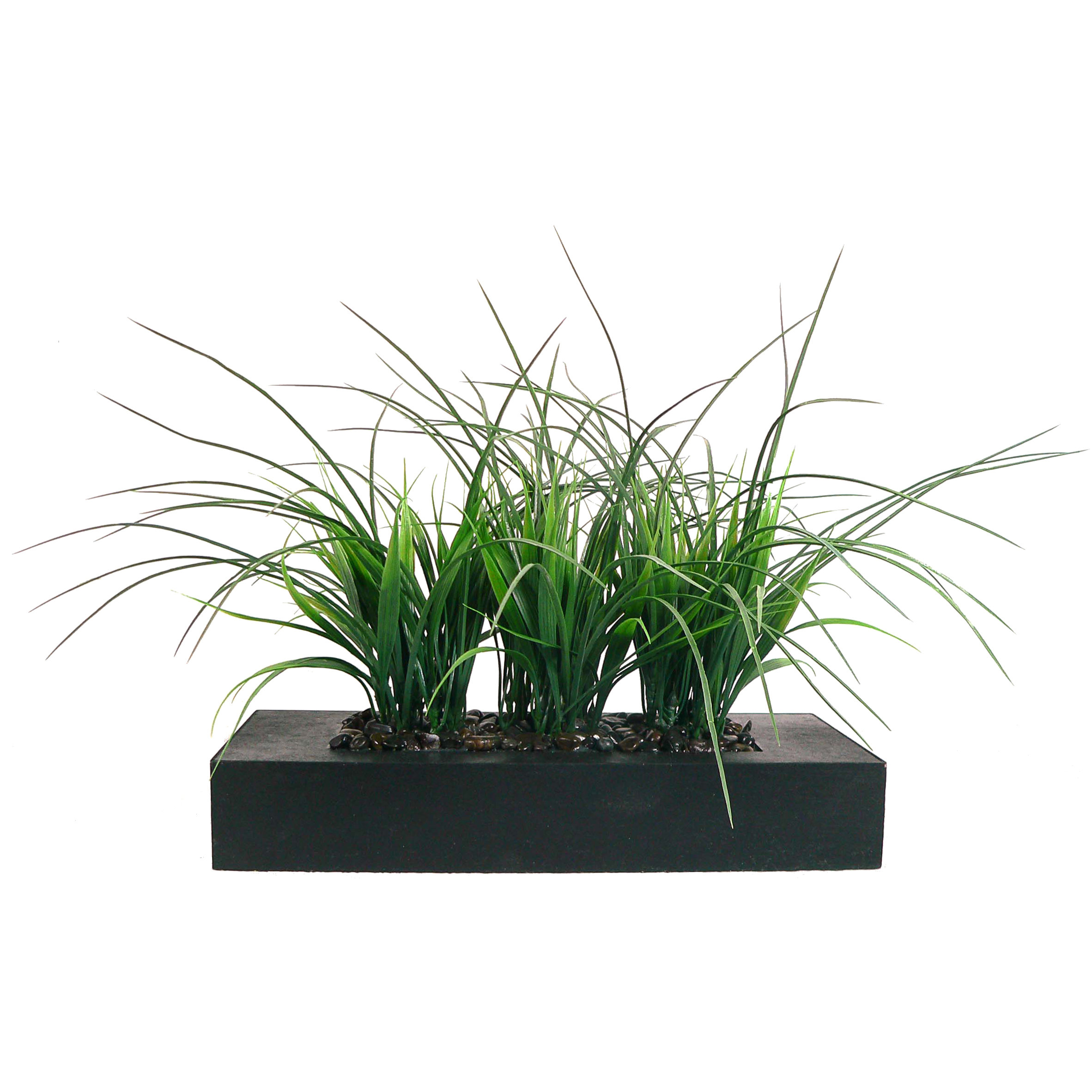 Laura Ashley Home Grass in Rectangular Planter I & Reviews Wayfair
