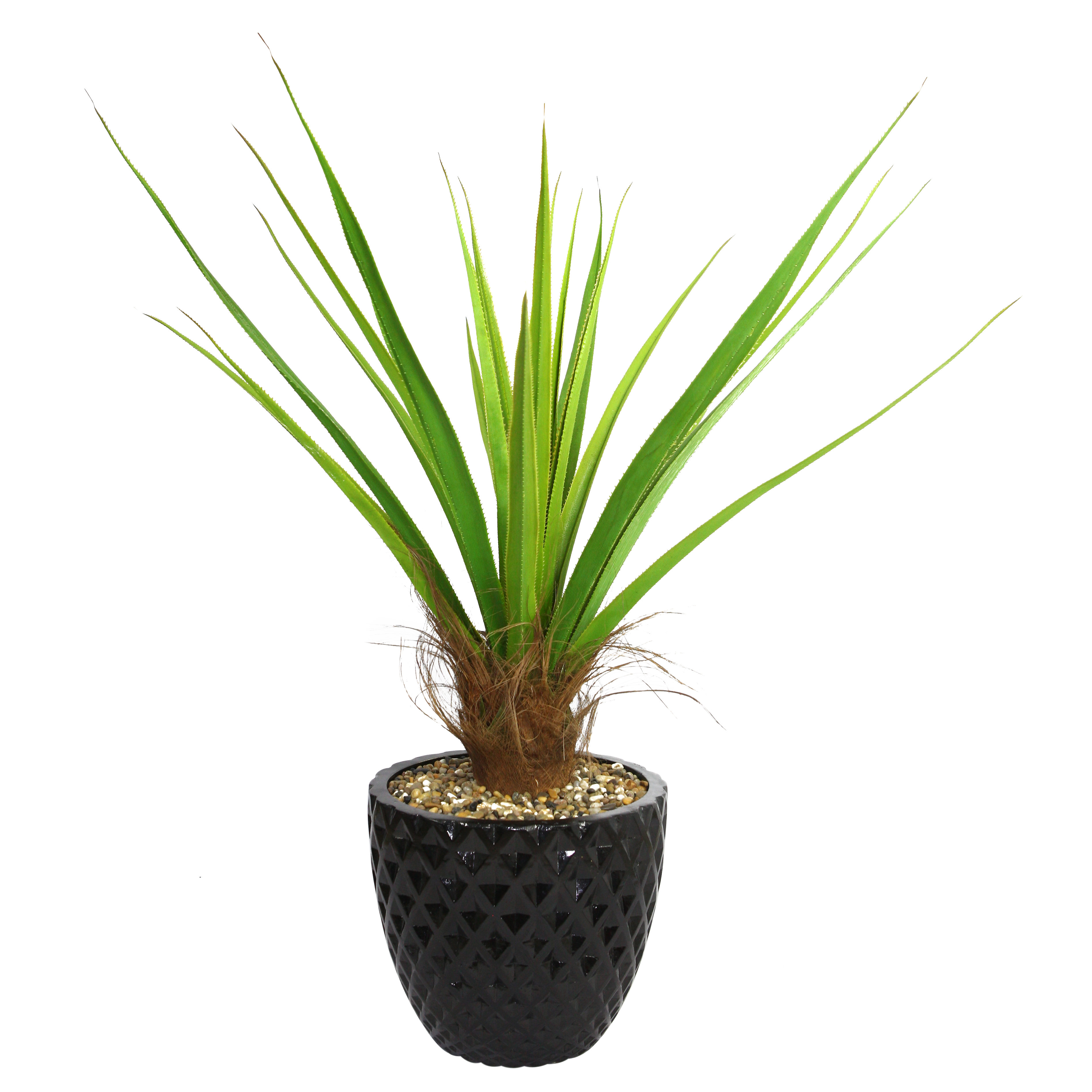 Laura Ashley Home Tall Agave Floor Plant in Fiberstone Pot Wayfair