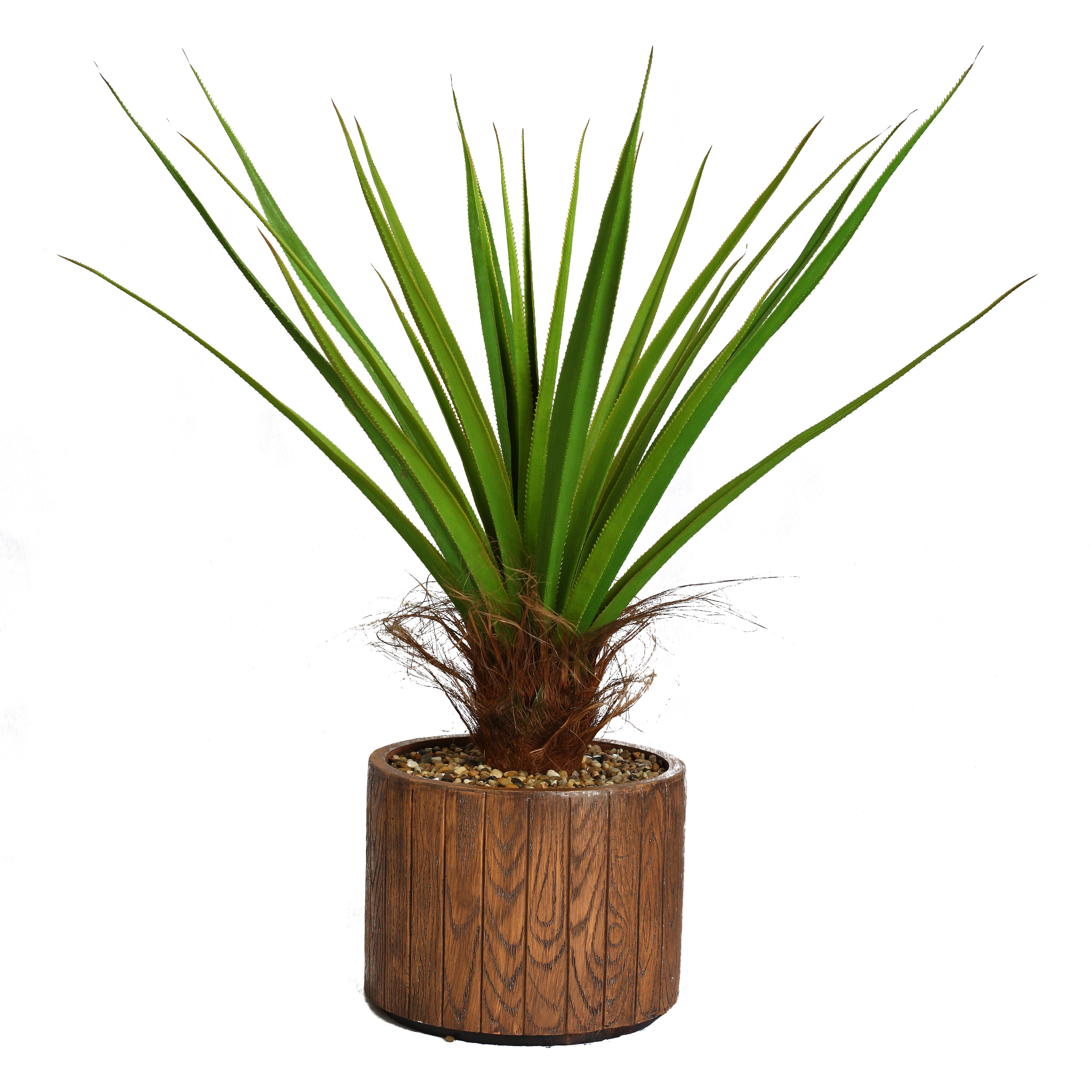 Laura Ashley Home Tall Agave Floor Plant in Cylinder Fiberstone Pot & Reviews Wayfair