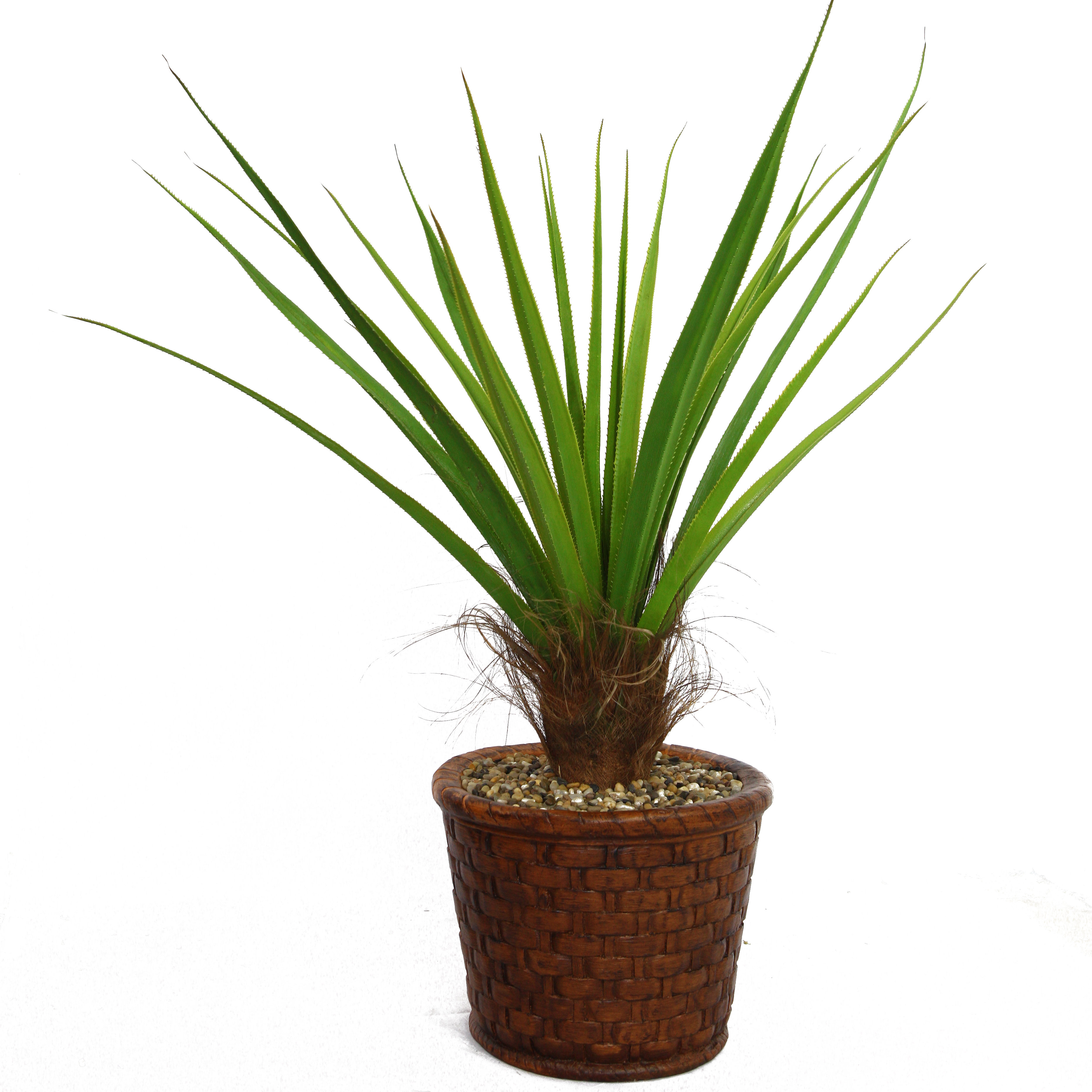 Laura Ashley Home Tall Agave Floor Plant in Fiberstone Pot Wayfair