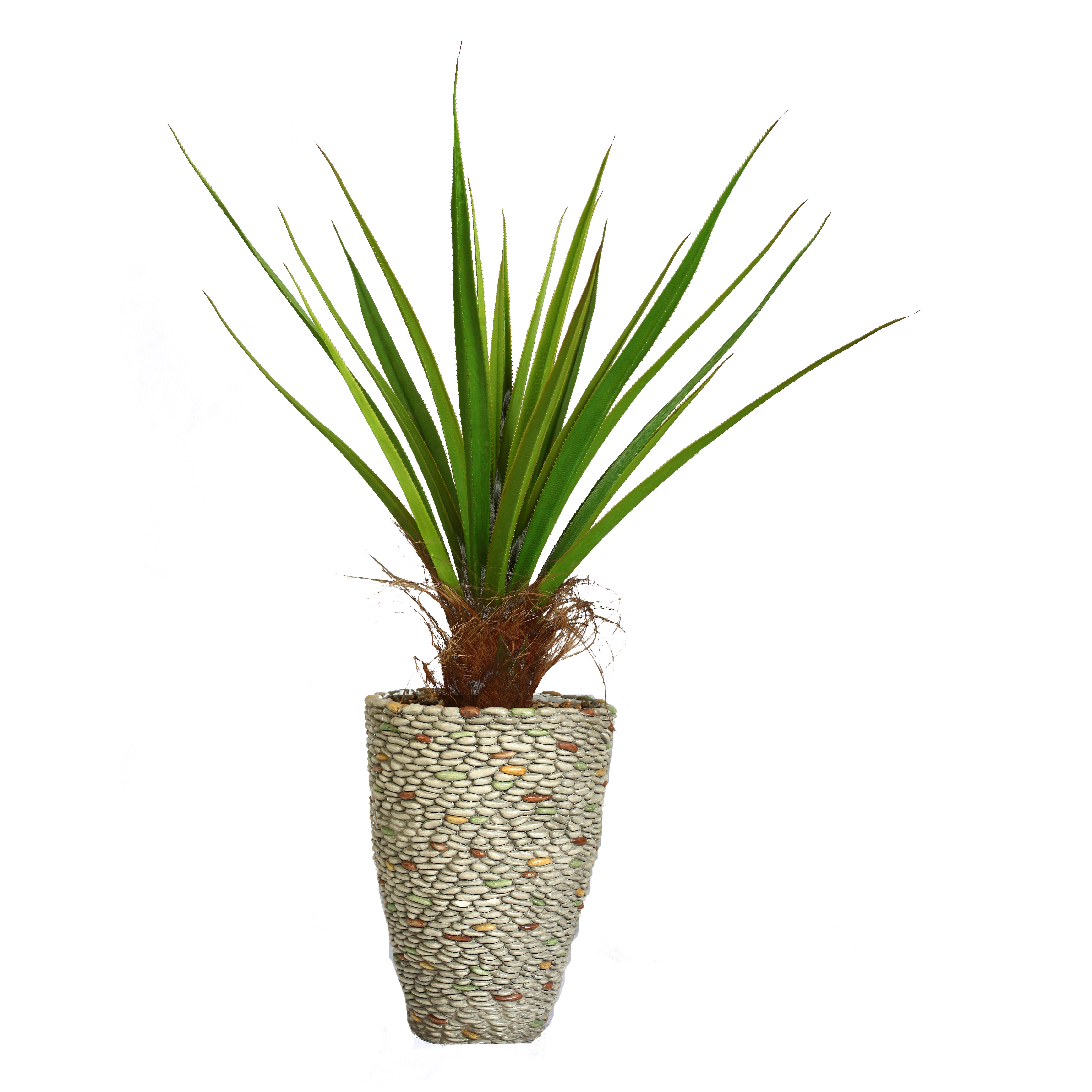Laura Ashley Home Tall Agave Floor Plant in Fiberstone Pot & Reviews Wayfair