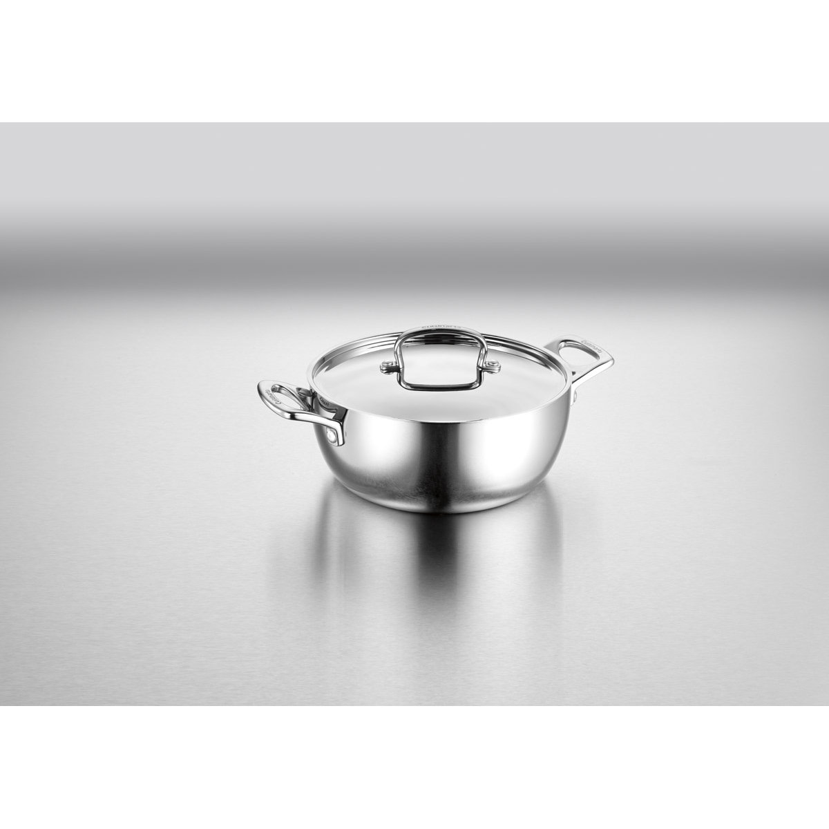 Cuisinart 4.5 Qt. Round Dutch Oven & Reviews Wayfair