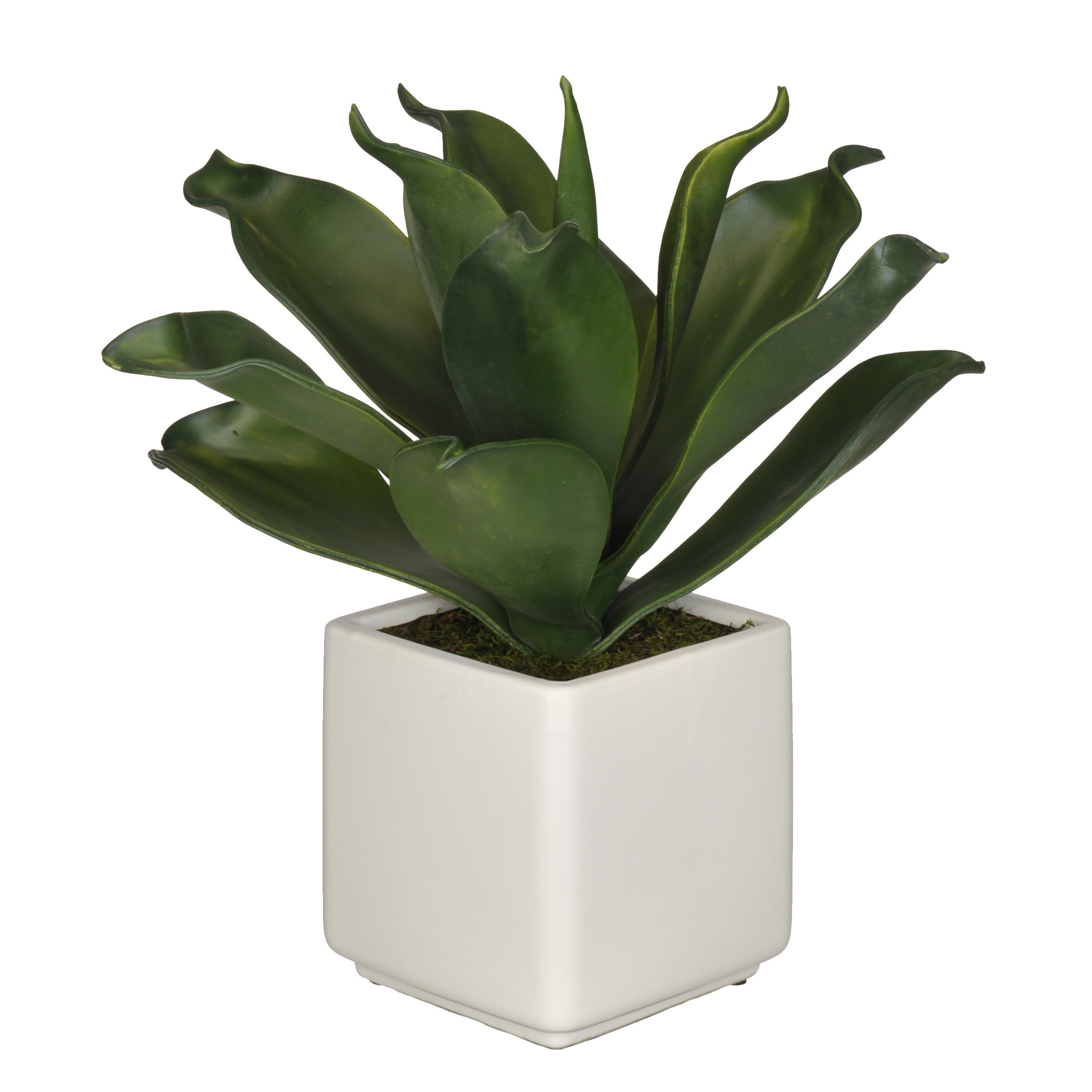 House of Silk Flowers Artificial Agave Succulent Desktop Plant in