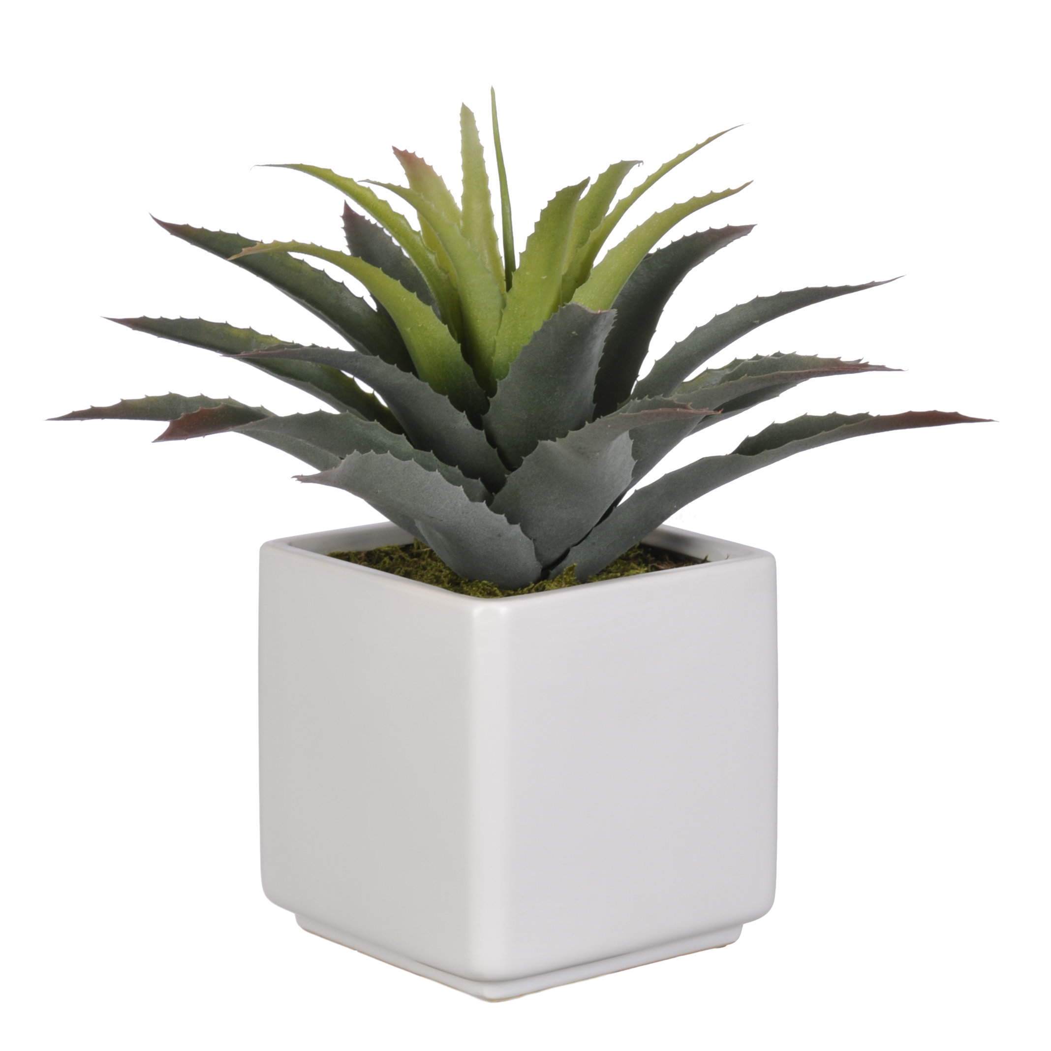 House of Silk Flowers Artificial Star Succulent Desk Top Plant in Pot