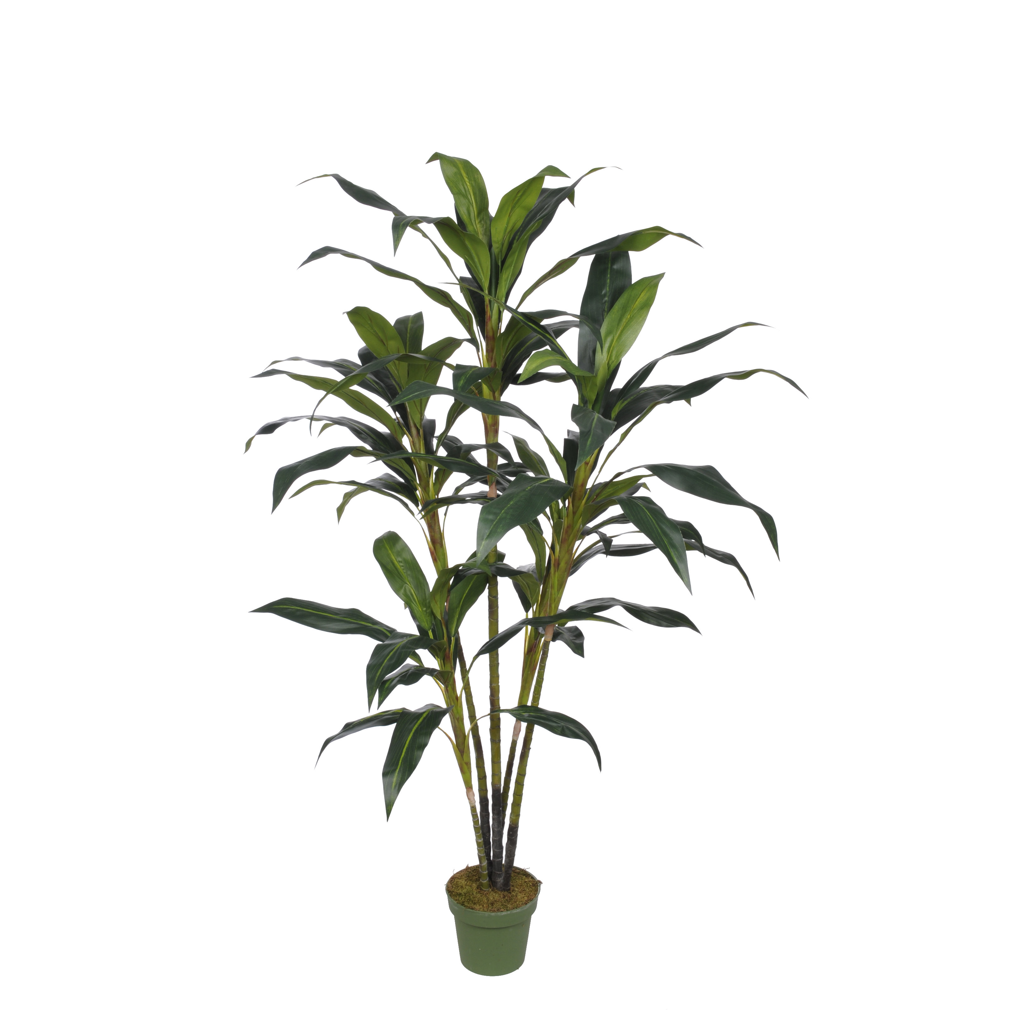 House of Silk Flowers Artificial Cordyline Tree Floor Plant in Pot