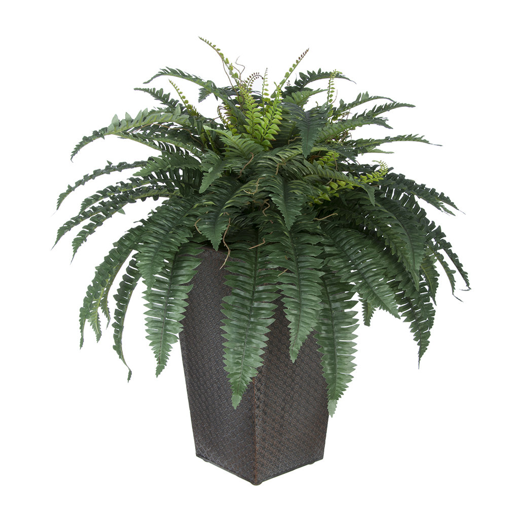 House of Silk Flowers Artificial Fern Floor Plant in Planter & Reviews