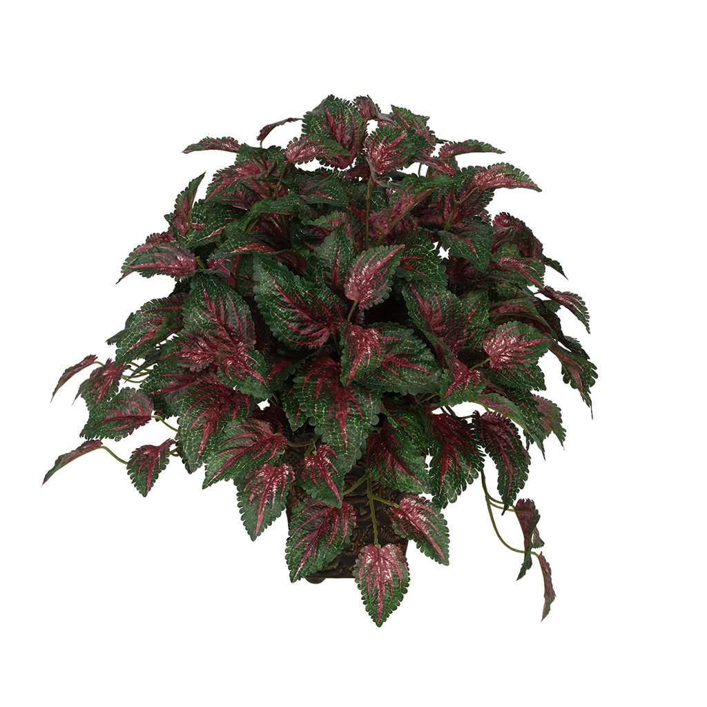 House of Silk Flowers Artificial Coleus Leaf in Mini Ledge Desk Top