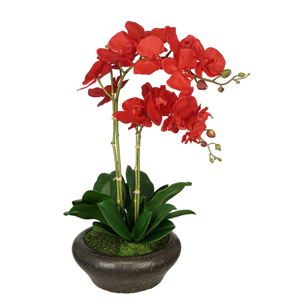 House of Silk Flowers Artificial Double Stem Orchid in Stone Bowl ...